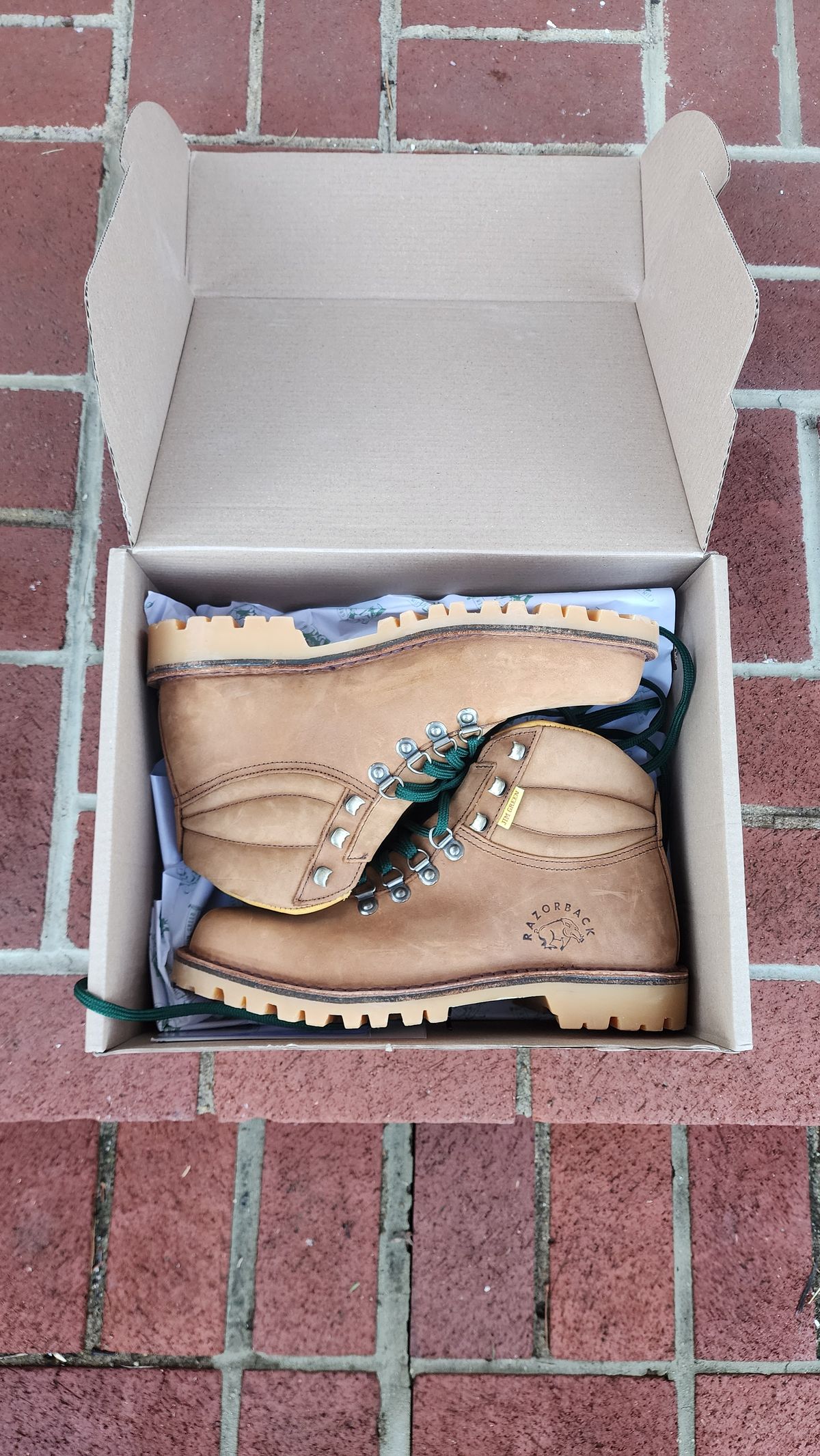 Photo by Oddbird on February 20, 2026 of the Jim Green Razorback in Fudge Crazy Horse.