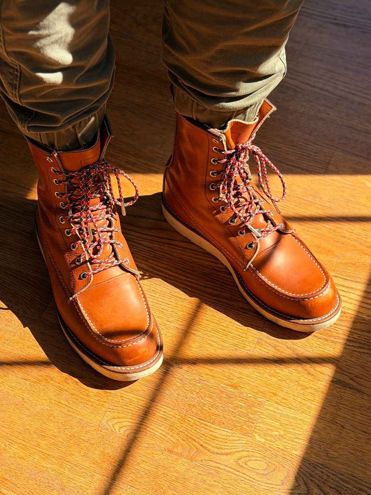 Photo by mrdibs on October 4, 2025 of the Red Wing 8-Inch Classic Moc in S.B. Foot Oro Legacy.