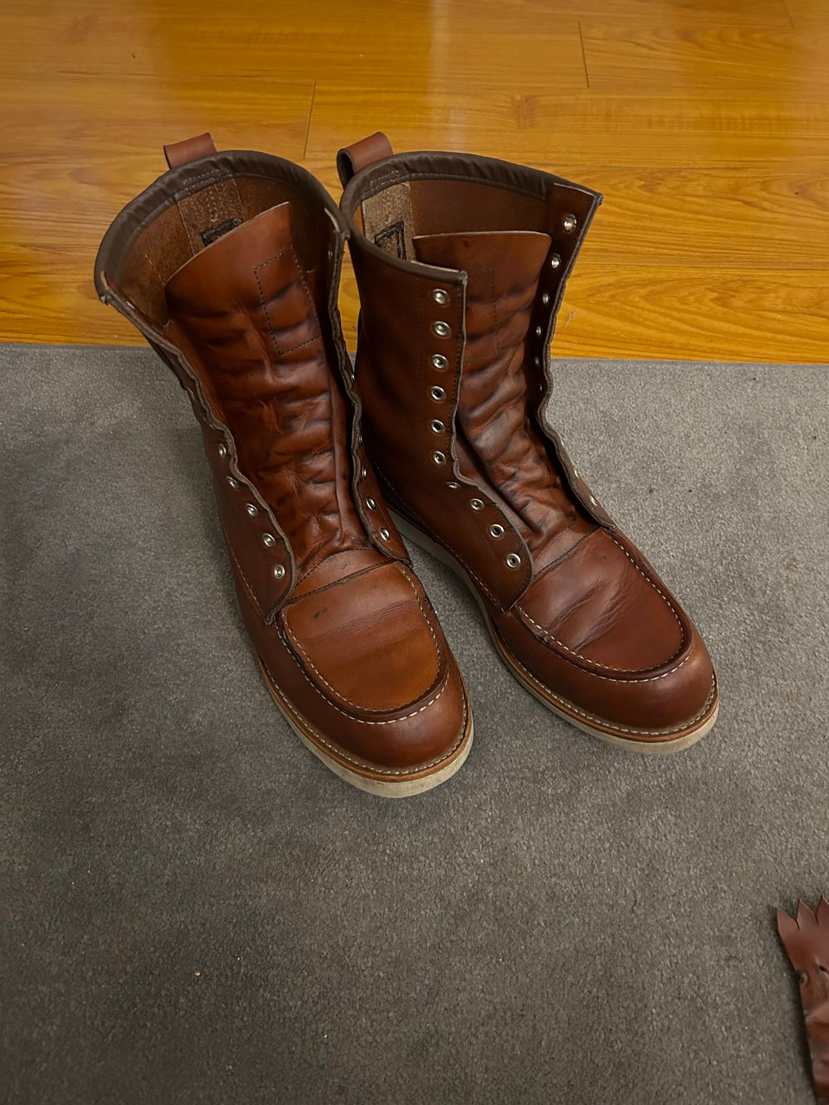 Photo by sjboots on June 11, 2024 of the Red Wing 8-Inch Classic Moc in S.B. Foot Oro Legacy.