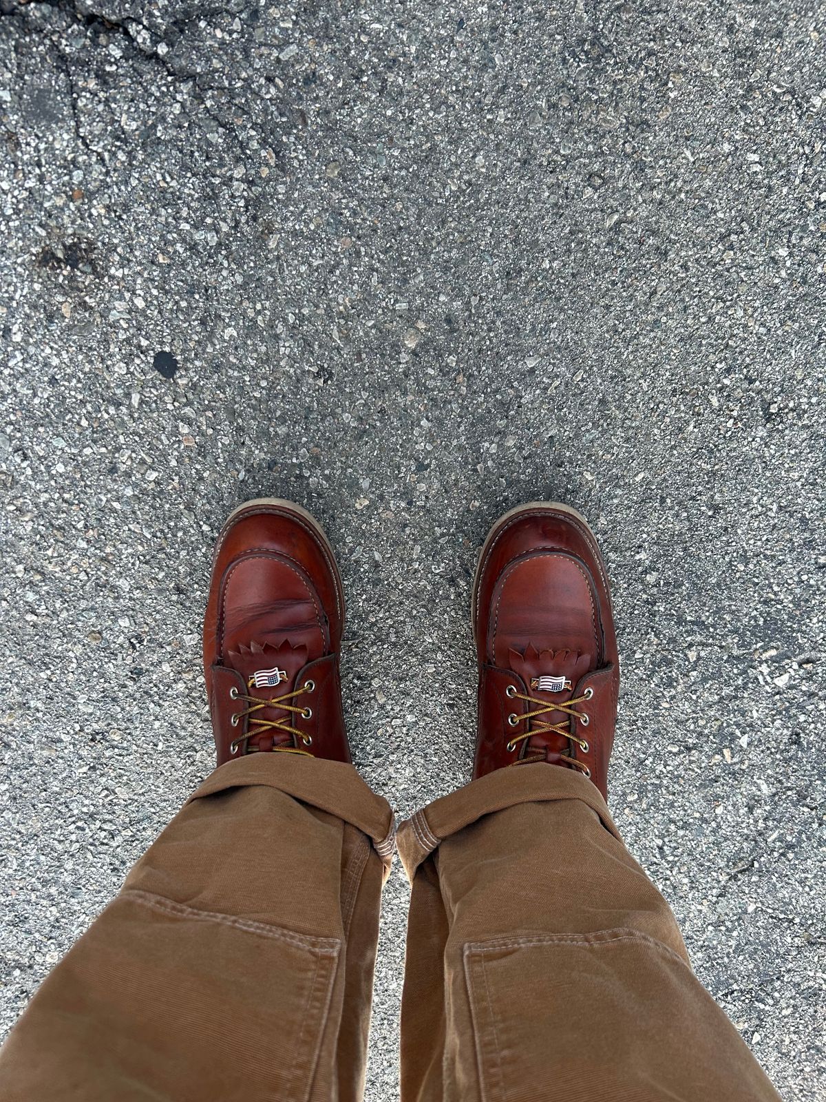 Photo by sjboots on October 18, 2025 of the Red Wing 8-Inch Classic Moc in S.B. Foot Oro Legacy.