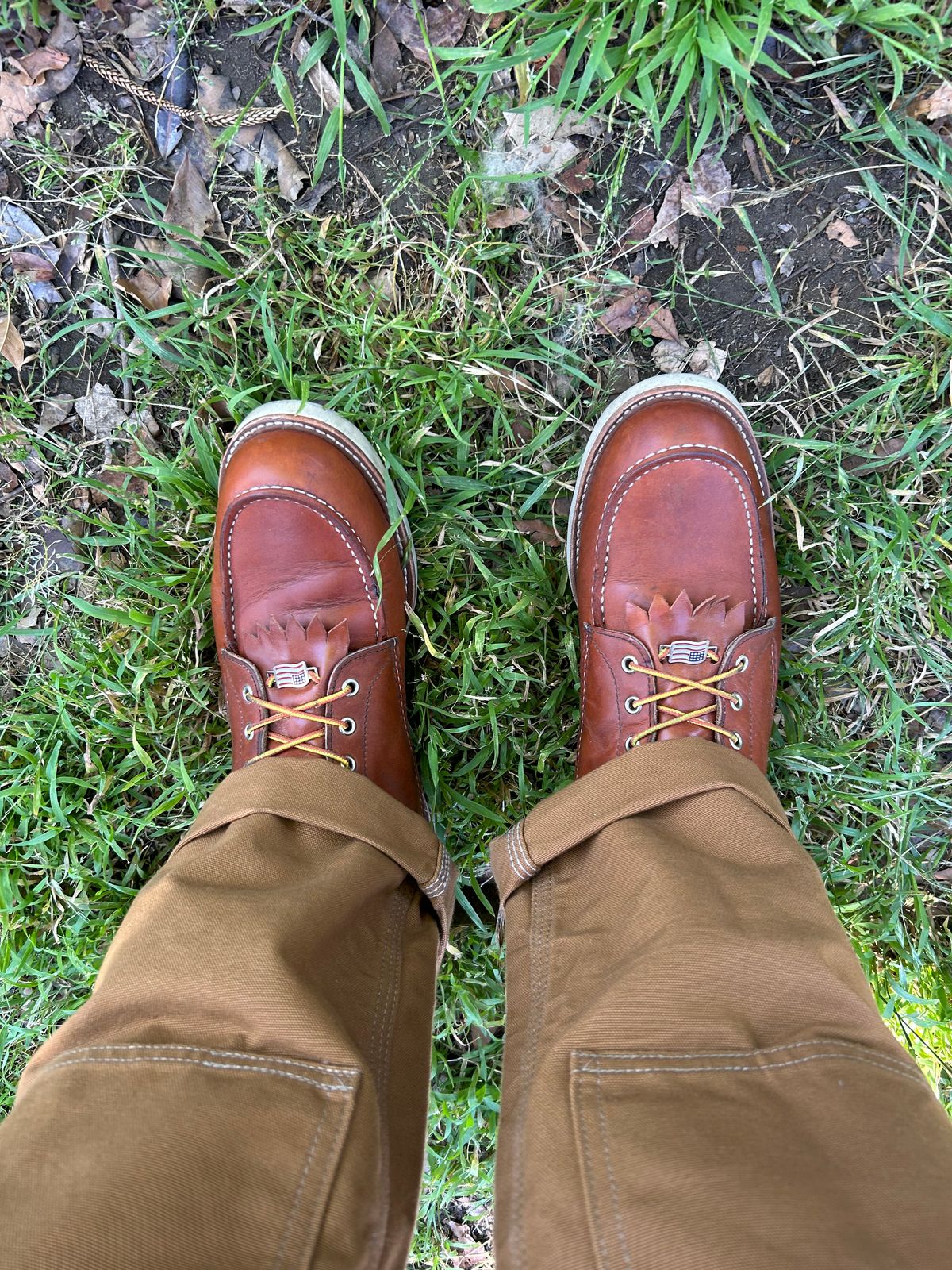 Photo by sjboots on April 28, 2024 of the Red Wing 8-Inch Classic Moc in S.B. Foot Oro Legacy.