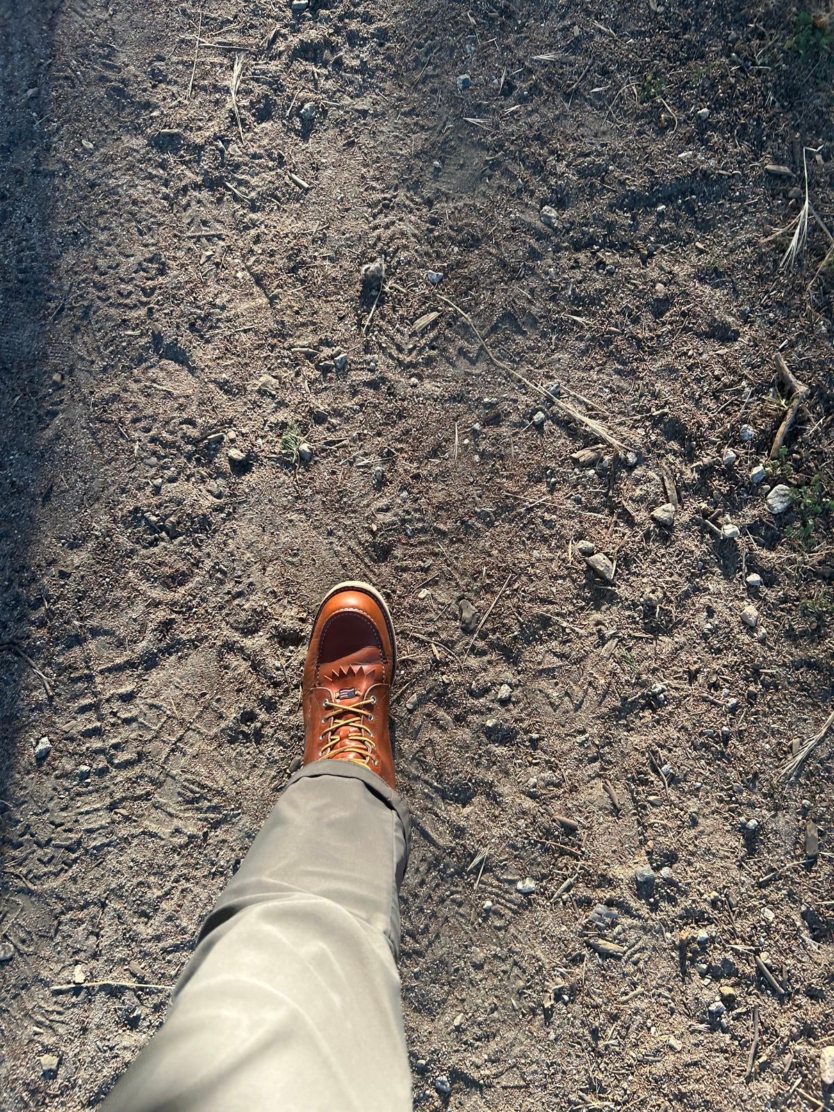 Photo by sjboots on May 8, 2024 of the Red Wing 8-Inch Classic Moc in S.B. Foot Oro Legacy.