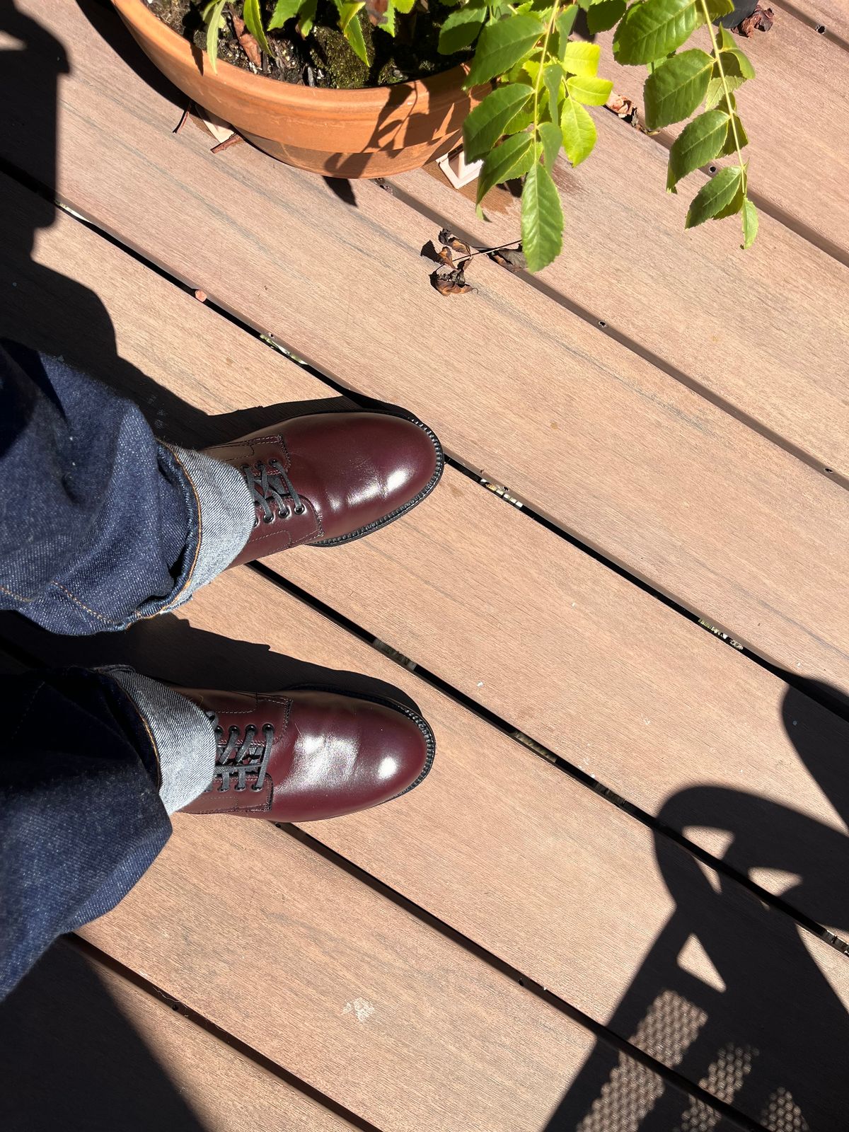 Photo by tomsbarkingdogs on September 17, 2025 of the Alden Plain Toe Boot in Horween Burgundy Calfskin.