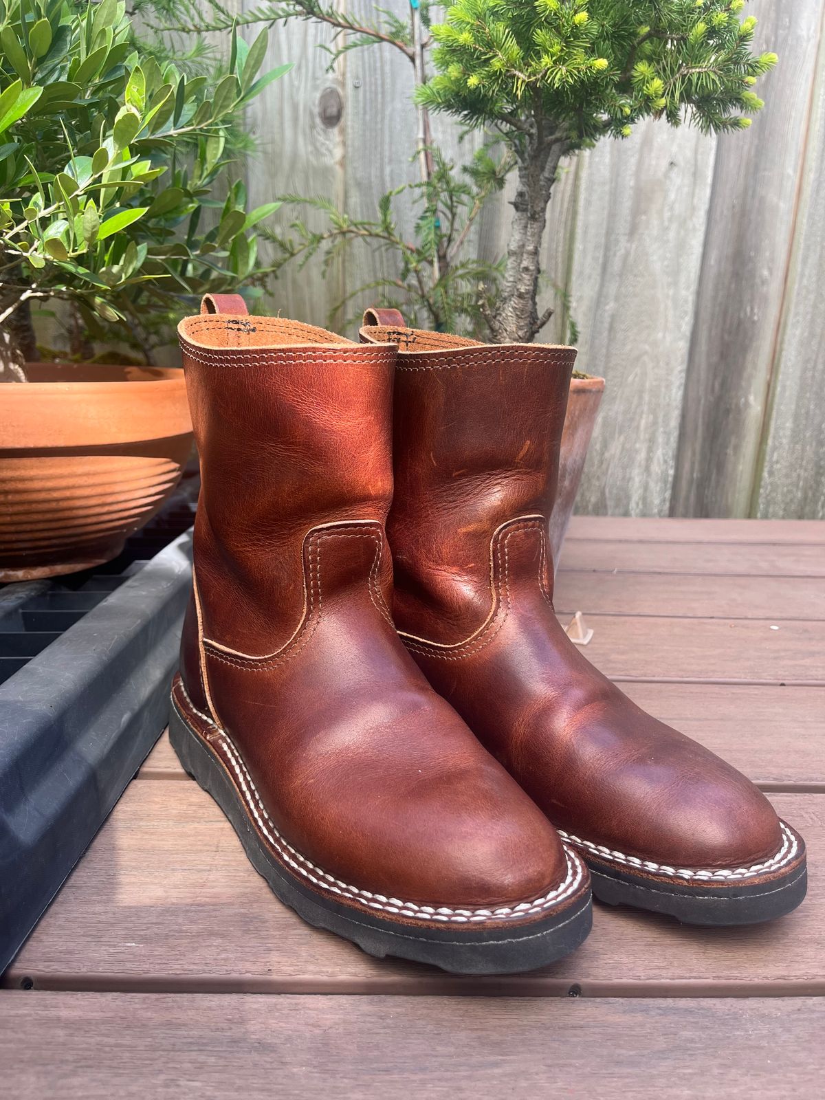 Photo by tomsbarkingdogs on May 14, 2025 of the Nicks Wellington 365 in Italian Brown Cypress.