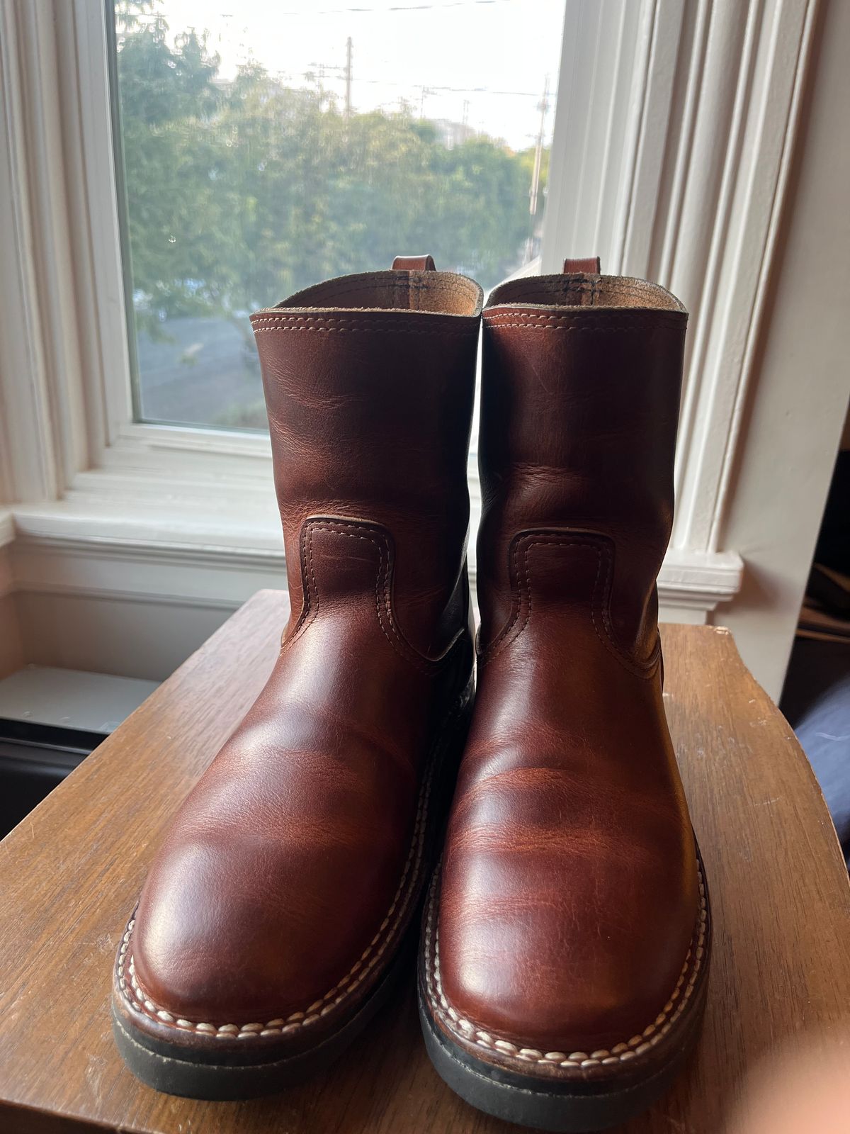 Photo by tomsbarkingdogs on October 3, 2025 of the Nicks Wellington 365 in Italian Brown Cypress.