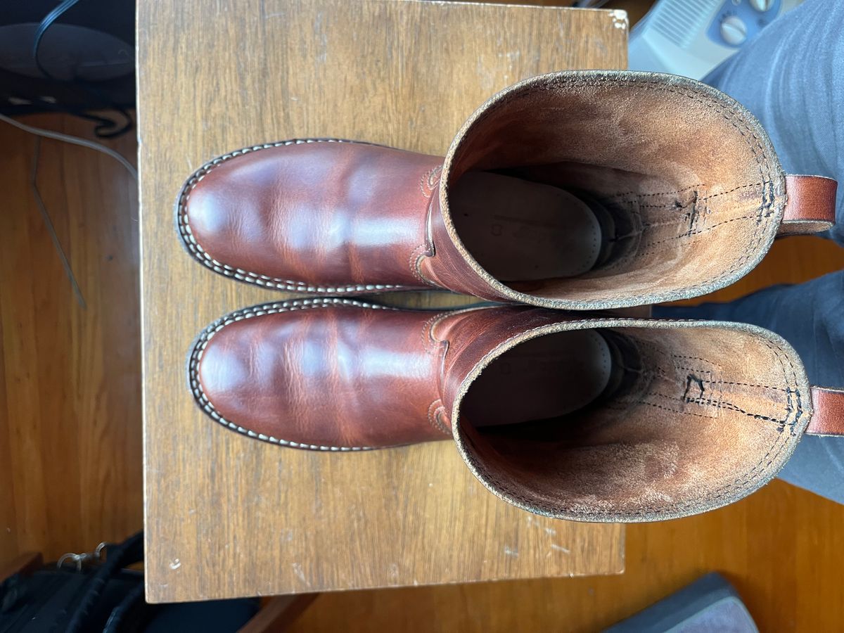 Photo by tomsbarkingdogs on October 3, 2025 of the Nicks Wellington 365 in Italian Brown Cypress.
