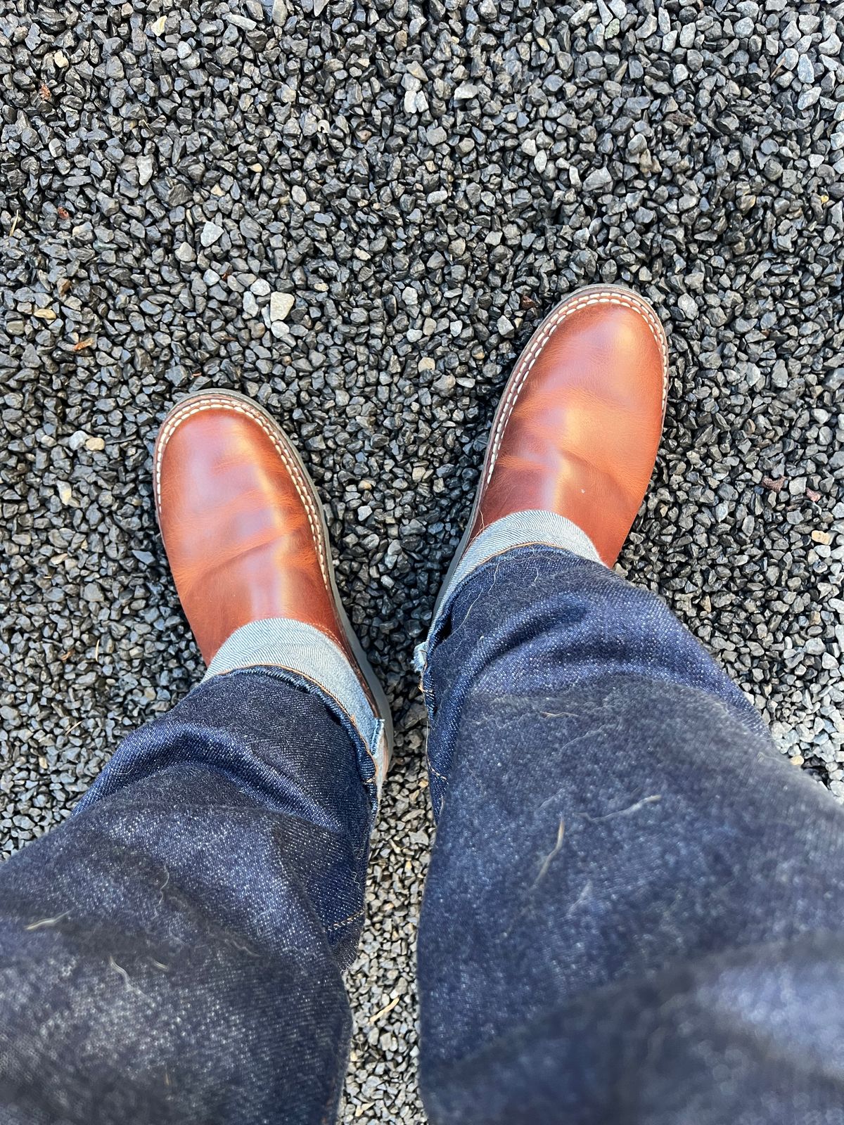 Photo by tomsbarkingdogs on October 3, 2025 of the Nicks Wellington 365 in Italian Brown Cypress.