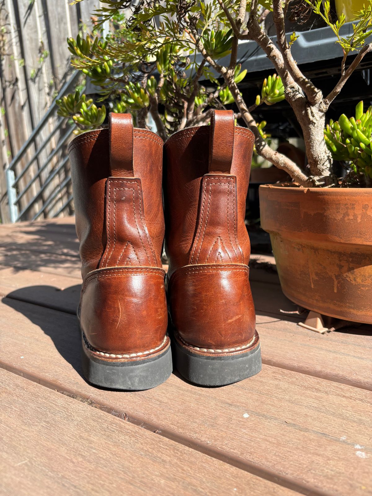 Photo by tomsbarkingdogs on November 3, 2025 of the Nicks Wellington 365 in Italian Brown Cypress.