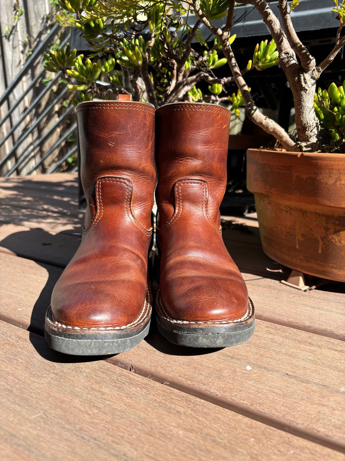 Photo by tomsbarkingdogs on November 3, 2025 of the Nicks Wellington 365 in Italian Brown Cypress.