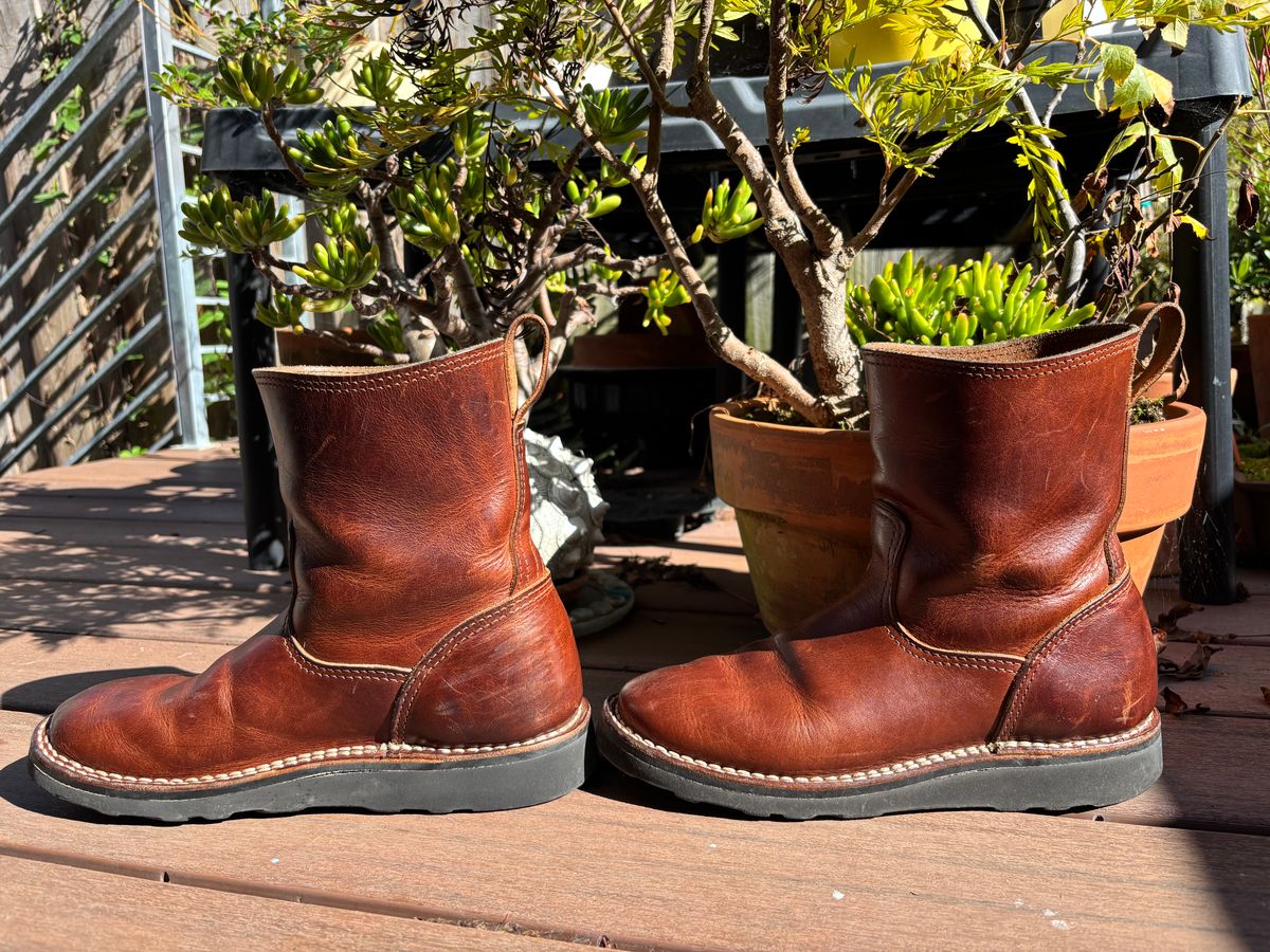 Photo by tomsbarkingdogs on November 3, 2025 of the Nicks Wellington 365 in Italian Brown Cypress.