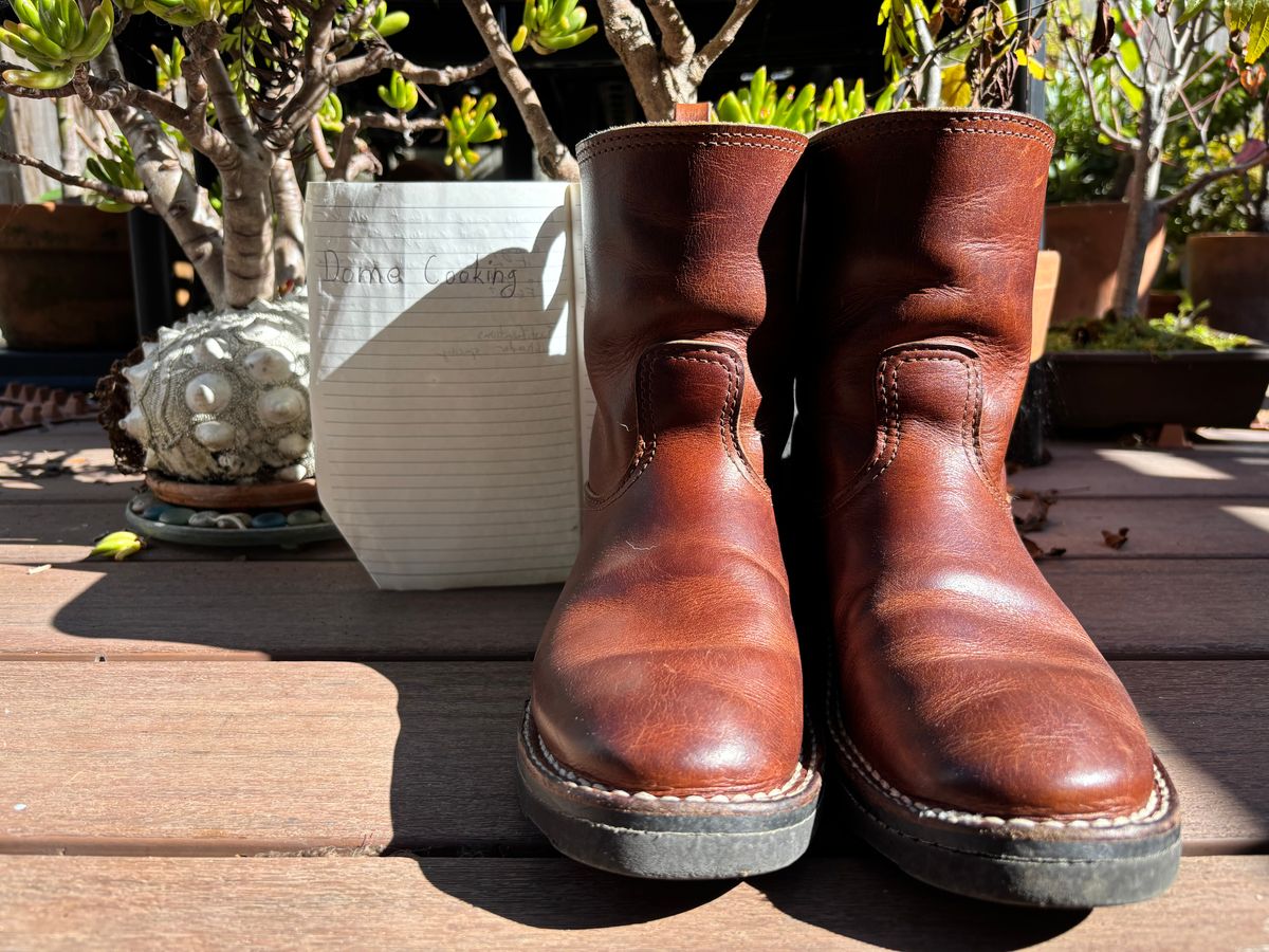 Photo by tomsbarkingdogs on November 3, 2025 of the Nicks Wellington 365 in Italian Brown Cypress.