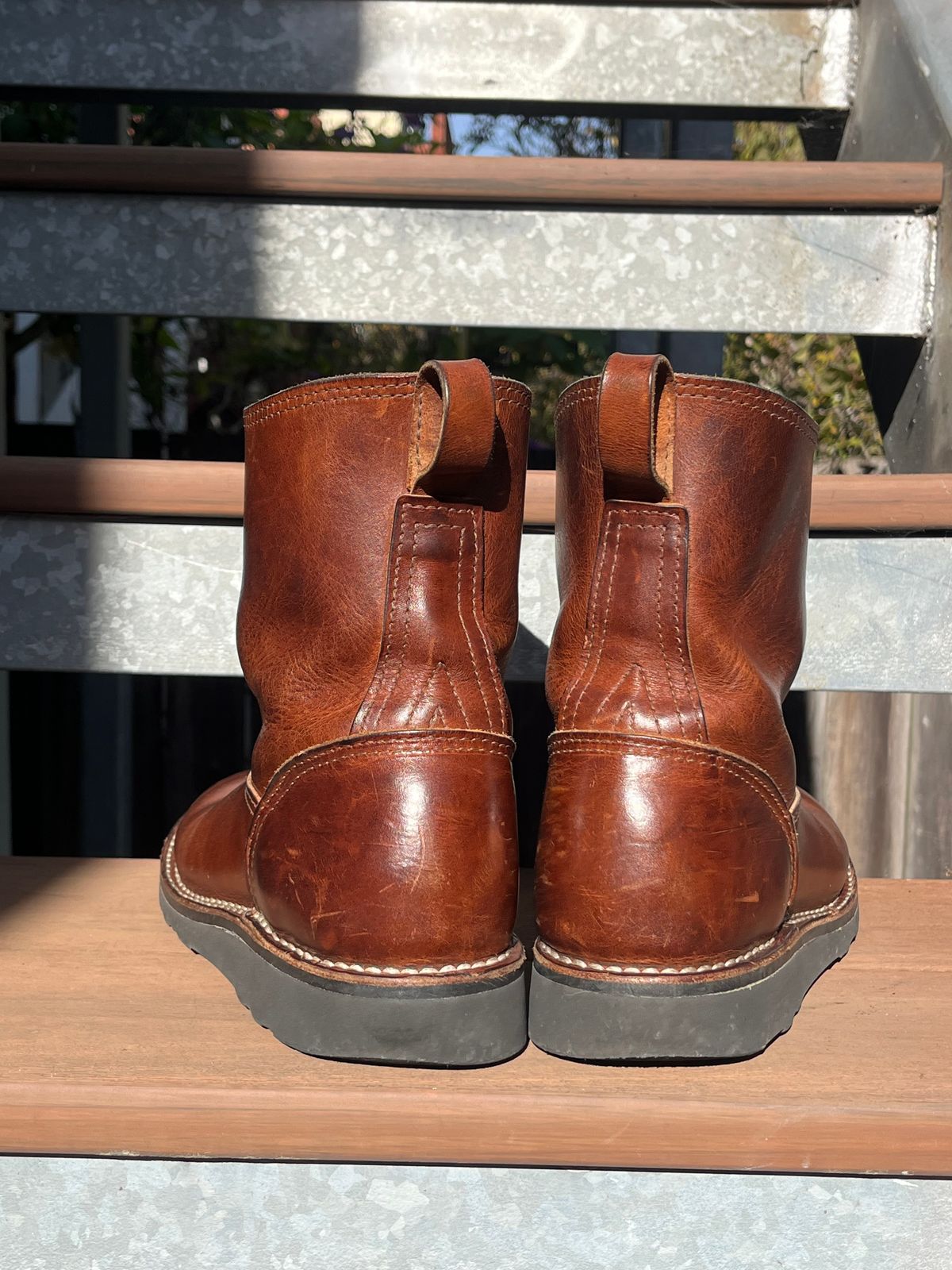 Photo by tomsbarkingdogs on December 3, 2025 of the Nicks Wellington 365 in Italian Brown Cypress.