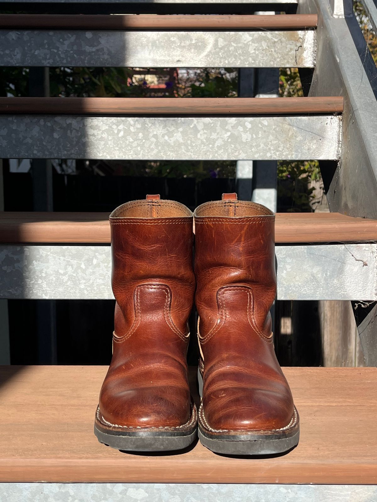 Photo by tomsbarkingdogs on December 3, 2025 of the Nicks Wellington 365 in Italian Brown Cypress.