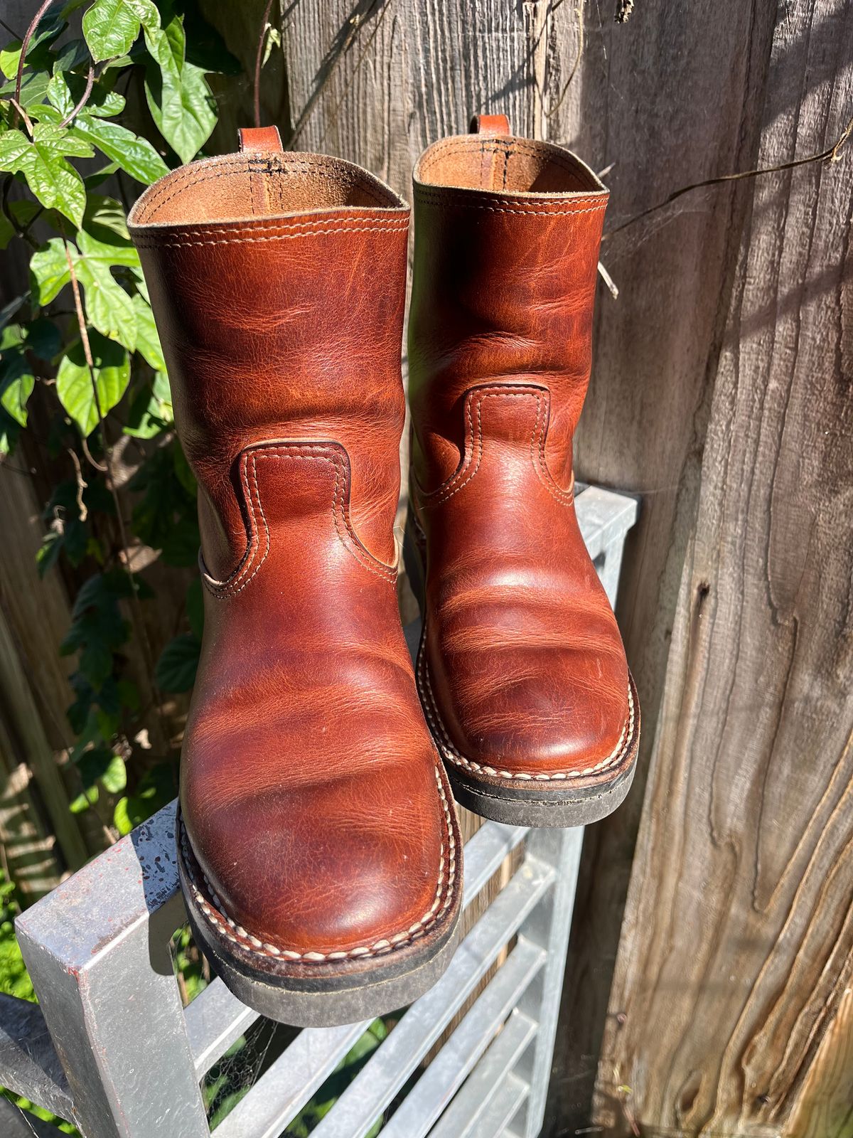 Photo by tomsbarkingdogs on February 5, 2026 of the Nicks Wellington 365 in Italian Brown Cypress.