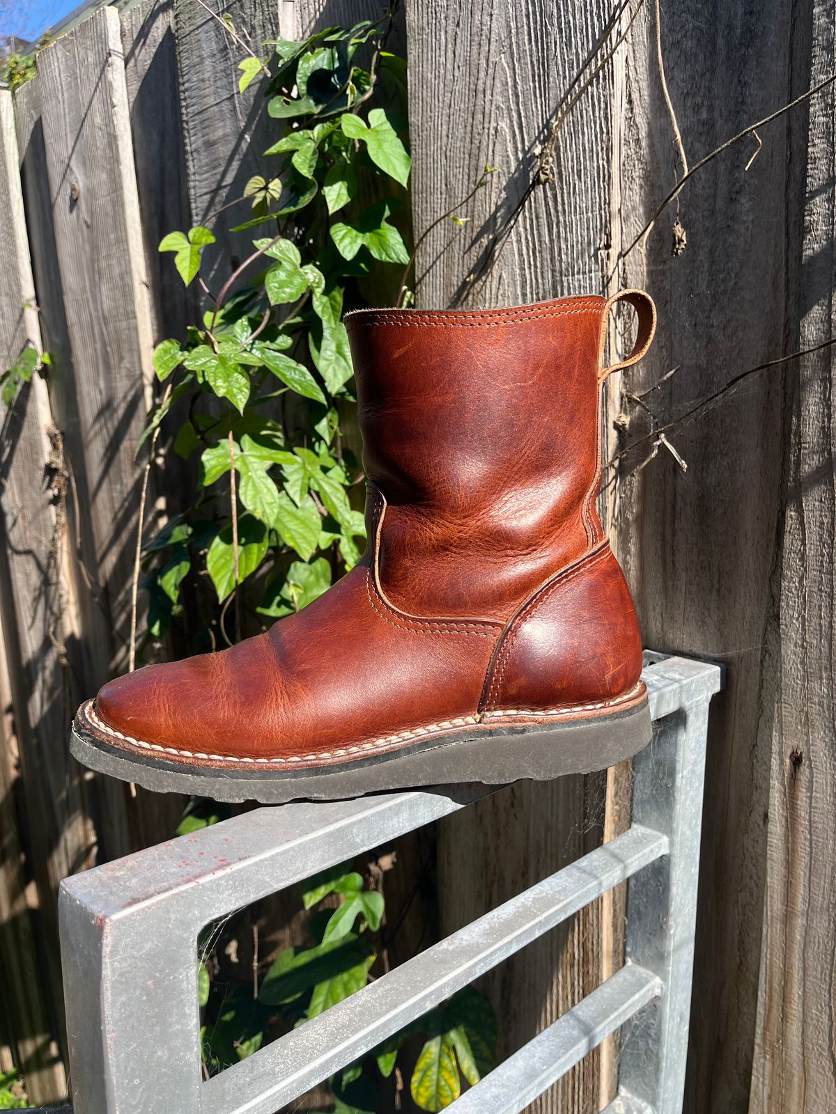 Photo by tomsbarkingdogs on February 5, 2026 of the Nicks Wellington 365 in Italian Brown Cypress.