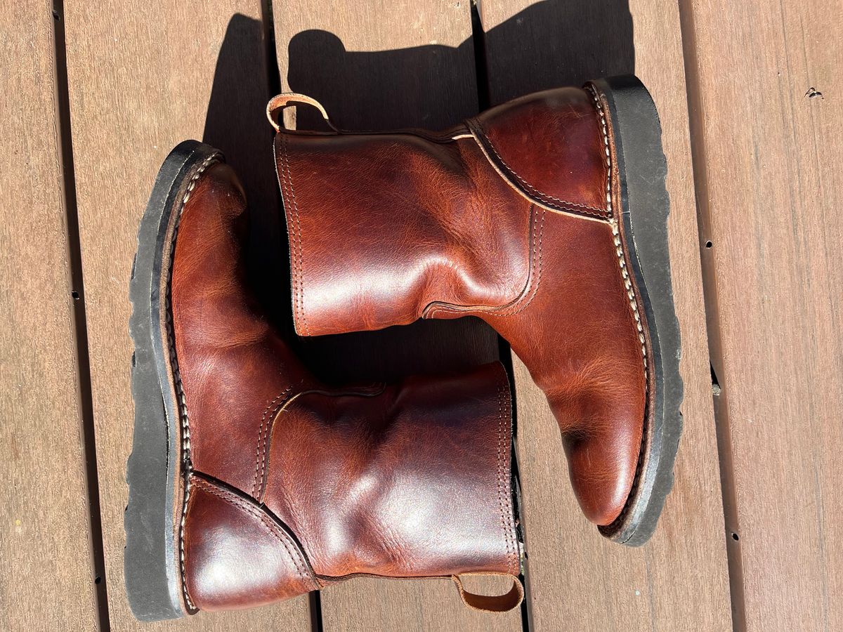 Photo by tomsbarkingdogs on February 5, 2026 of the Nicks Wellington 365 in Italian Brown Cypress.