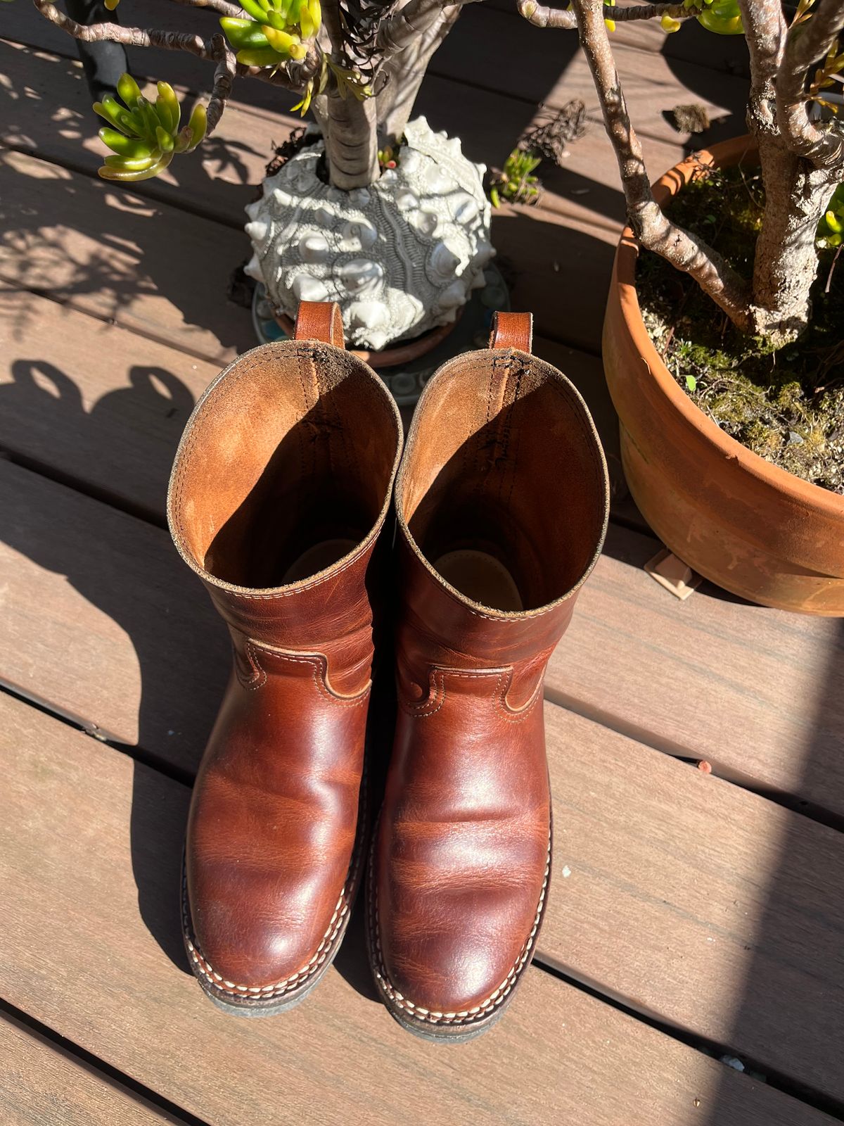 Photo by tomsbarkingdogs on February 5, 2026 of the Nicks Wellington 365 in Italian Brown Cypress.