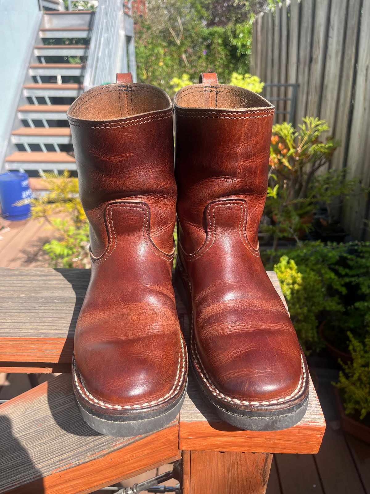 Photo by tomsbarkingdogs on April 2, 2026 of the Nicks Wellington 365 in Italian Brown Cypress.