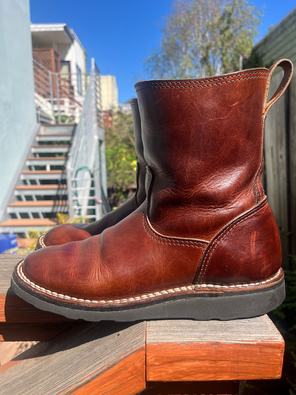 Photo by tomsbarkingdogs on April 2, 2026 of the Nicks Wellington 365 in Italian Brown Cypress.