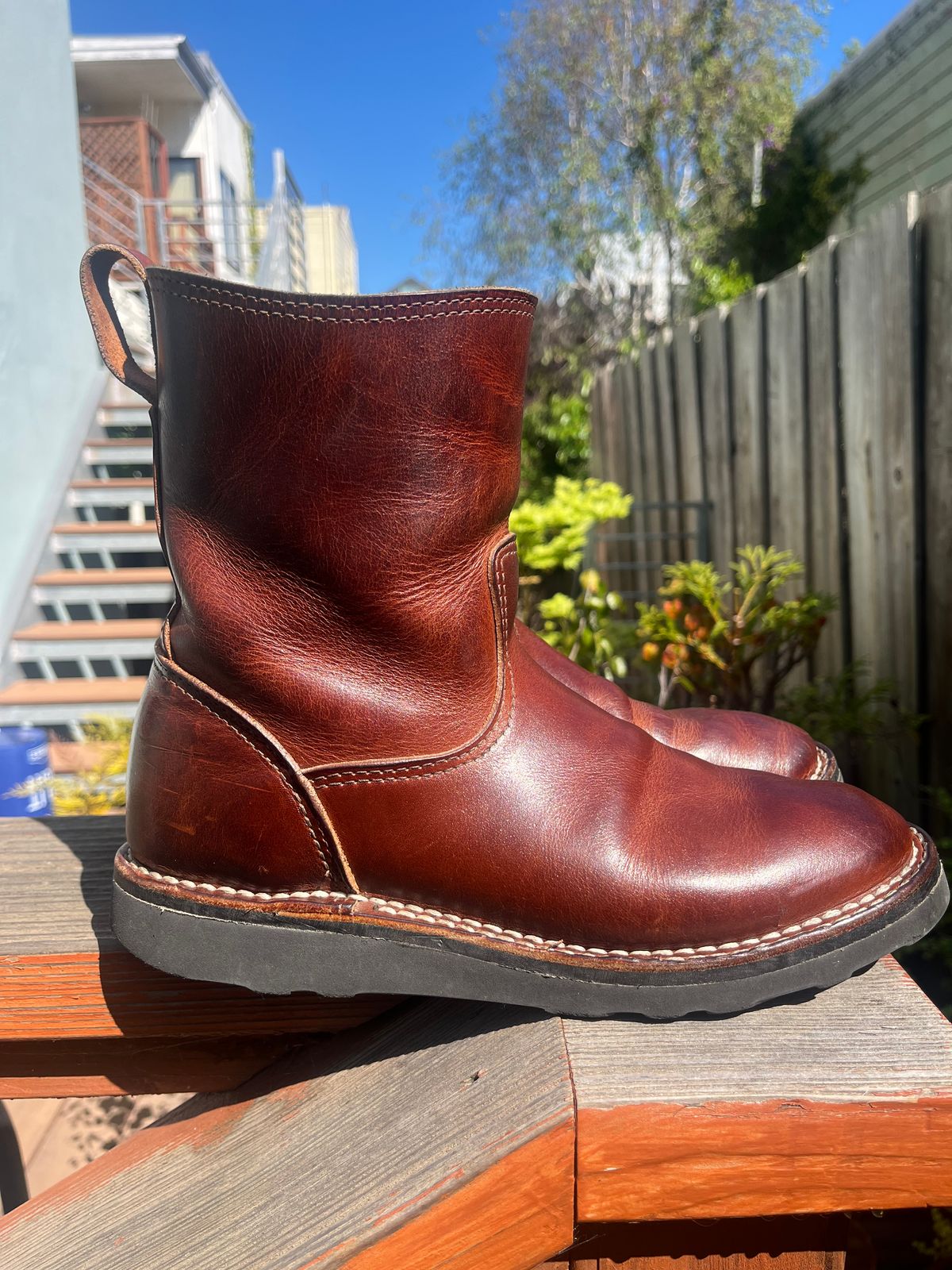 Photo by tomsbarkingdogs on April 2, 2026 of the Nicks Wellington 365 in Italian Brown Cypress.