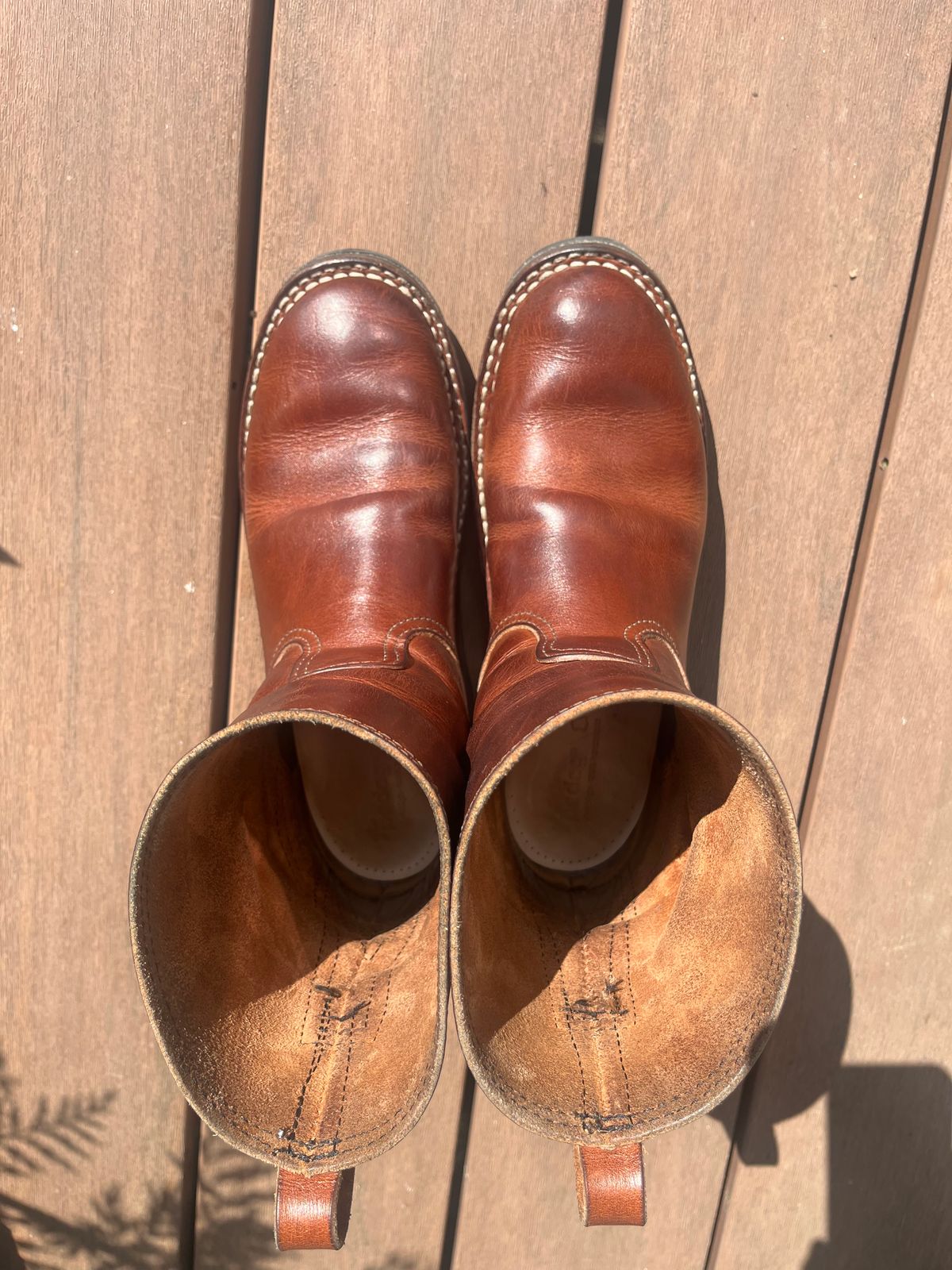 Photo by tomsbarkingdogs on April 2, 2026 of the Nicks Wellington 365 in Italian Brown Cypress.