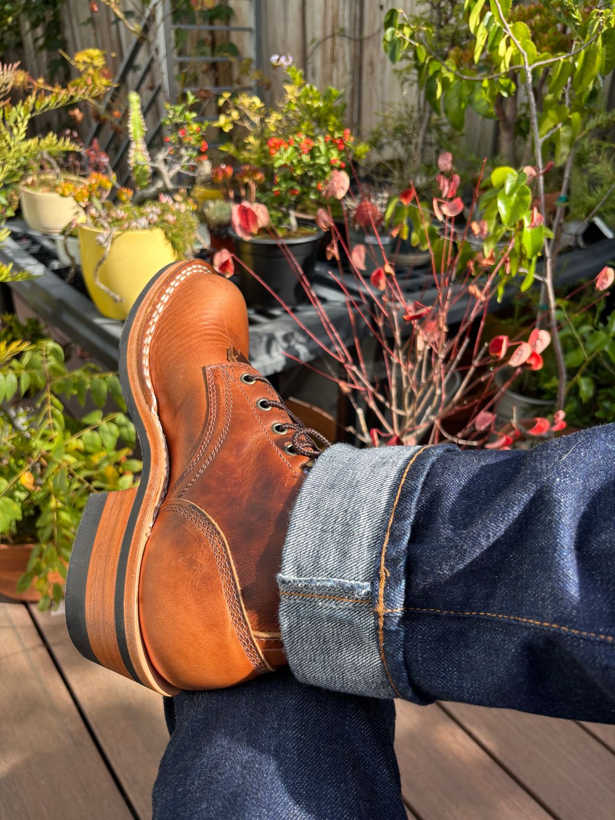 Photo by tomsbarkingdogs on October 3, 2025 of the Frank's Boots Wilshire in Law Tanning Whiskey Rebellion.