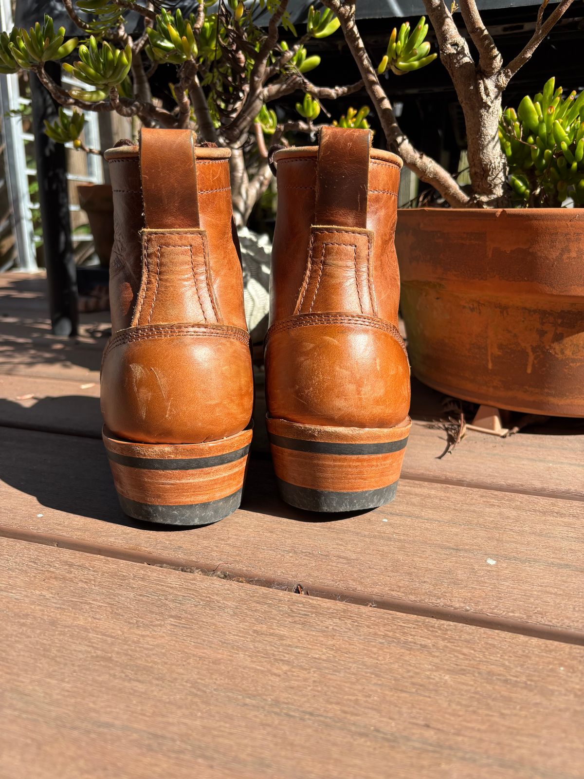 Photo by tomsbarkingdogs on November 3, 2025 of the Frank's Boots Wilshire in Law Tanning Whiskey Rebellion.