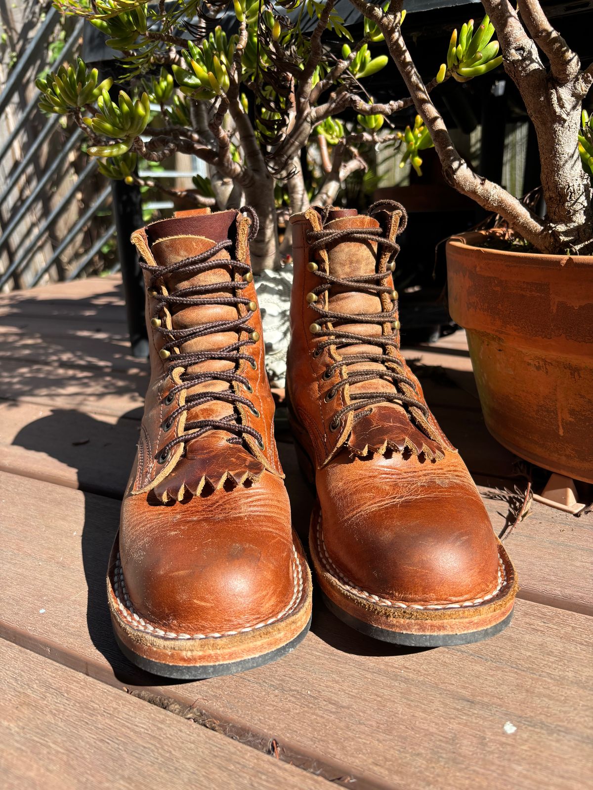 Photo by tomsbarkingdogs on November 3, 2025 of the Frank's Boots Wilshire in Law Tanning Whiskey Rebellion.