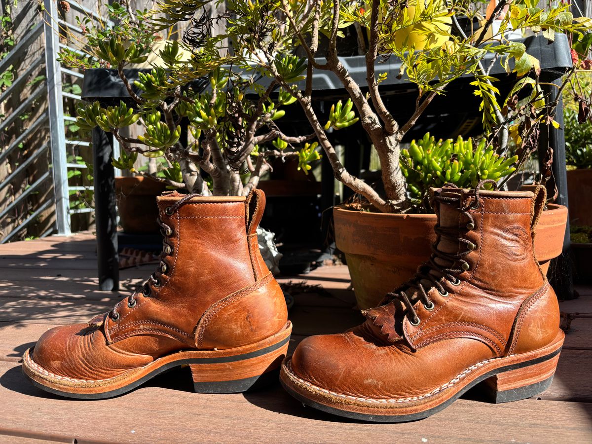 Photo by tomsbarkingdogs on November 3, 2025 of the Frank's Boots Wilshire in Law Tanning Whiskey Rebellion.