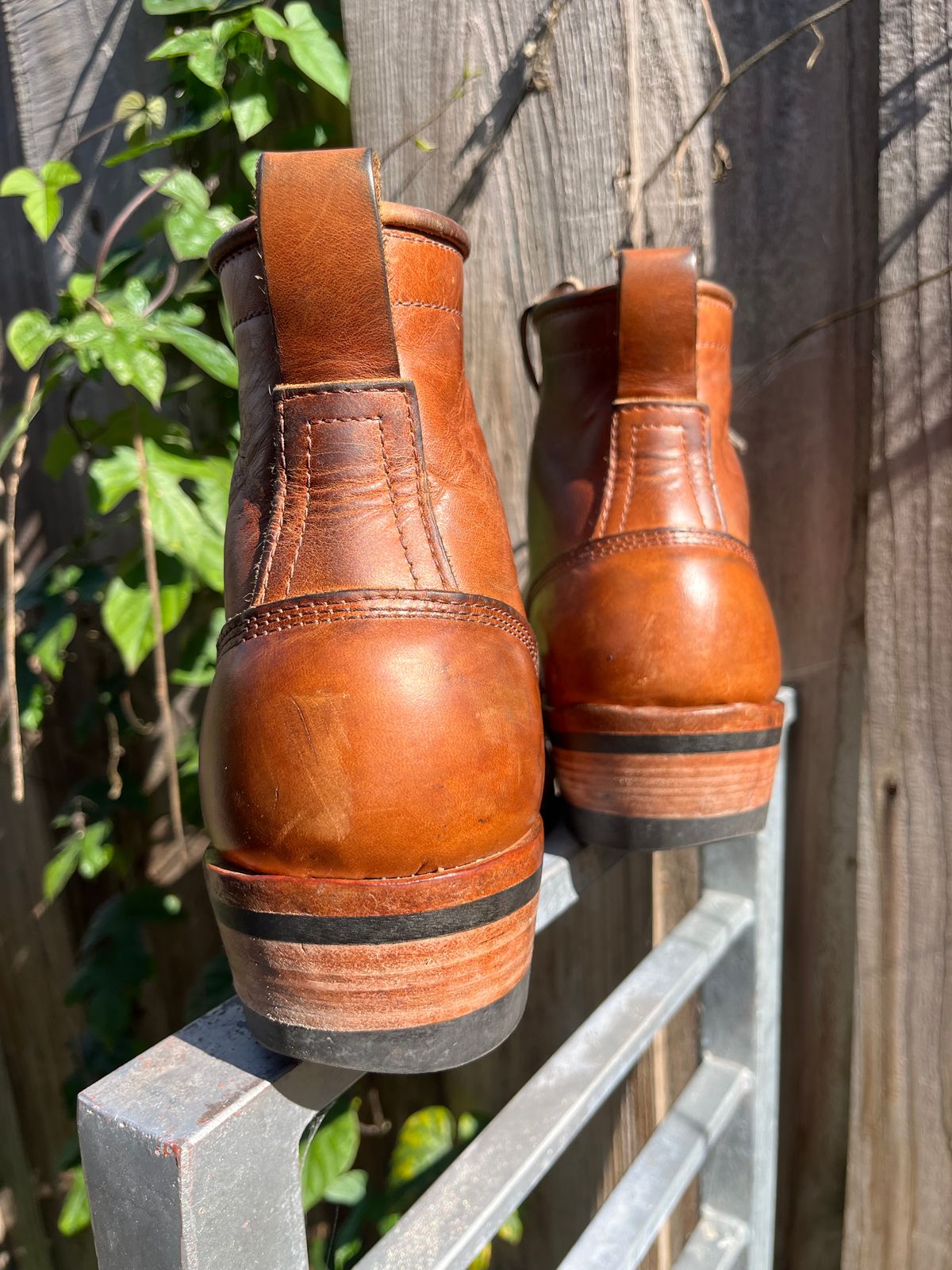 Photo by tomsbarkingdogs on February 5, 2026 of the Frank's Boots Wilshire in Law Tanning Whiskey Rebellion.