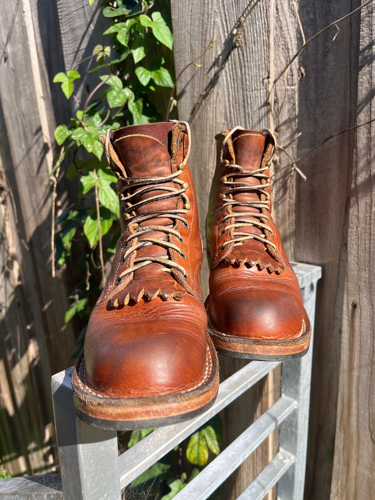 Photo by tomsbarkingdogs on February 5, 2026 of the Frank's Boots Wilshire in Law Tanning Whiskey Rebellion.