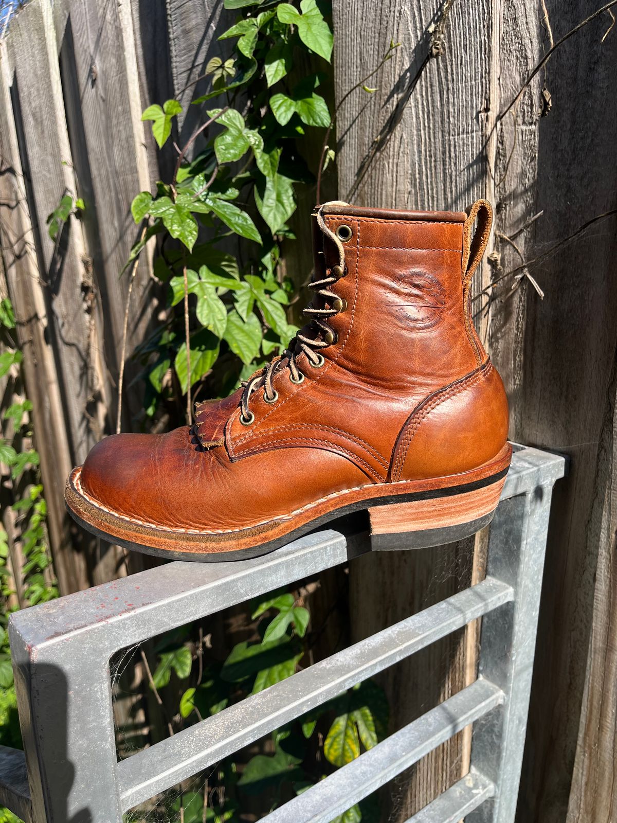 Photo by tomsbarkingdogs on February 5, 2026 of the Frank's Boots Wilshire in Law Tanning Whiskey Rebellion.