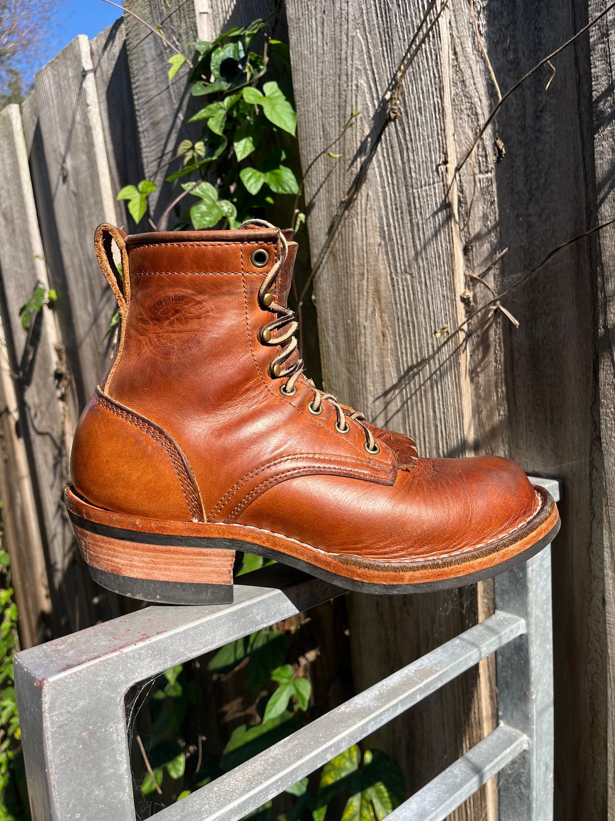 Photo by tomsbarkingdogs on February 5, 2026 of the Frank's Boots Wilshire in Law Tanning Whiskey Rebellion.