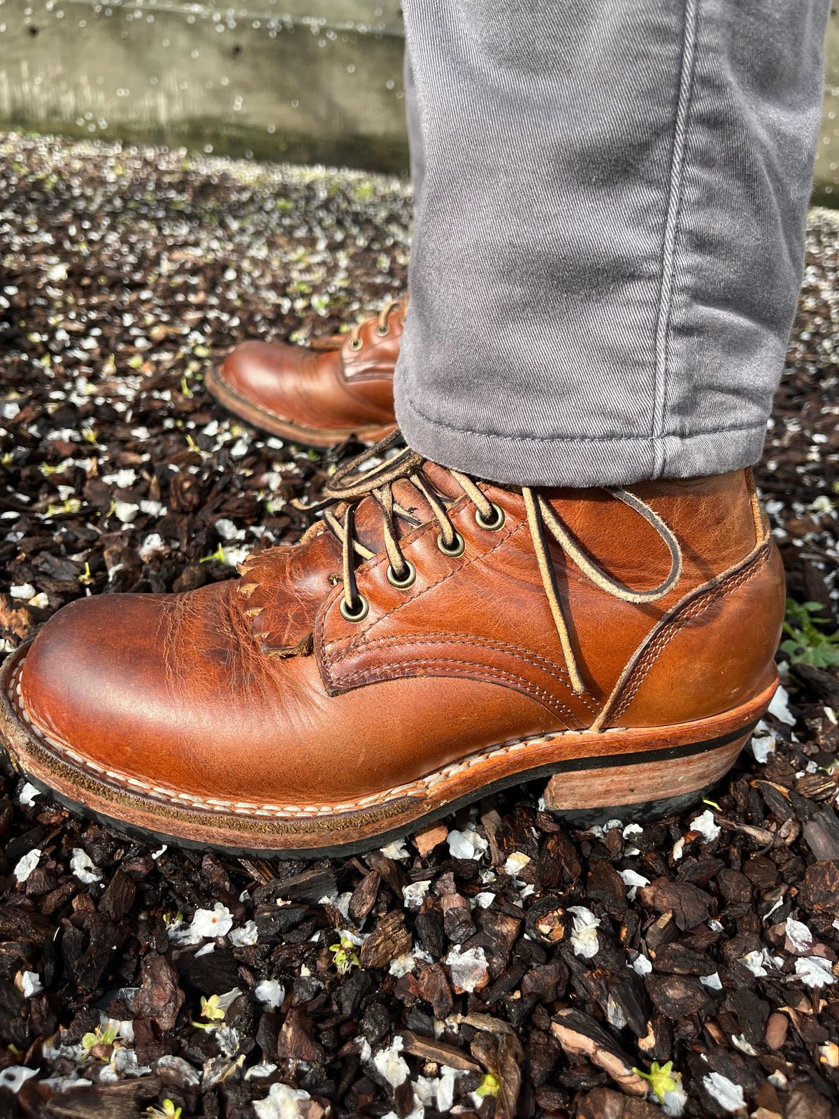 Photo by tomsbarkingdogs on February 18, 2026 of the Frank's Boots Wilshire in Law Tanning Whiskey Rebellion.