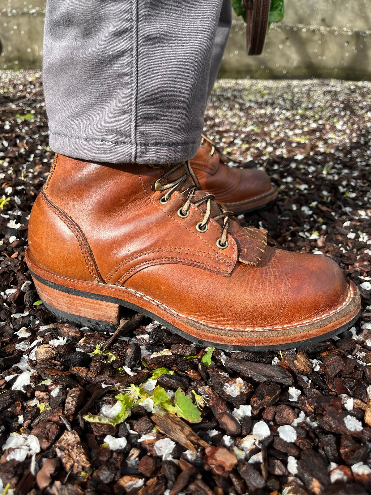 Photo by tomsbarkingdogs on February 18, 2026 of the Frank's Boots Wilshire in Law Tanning Whiskey Rebellion.