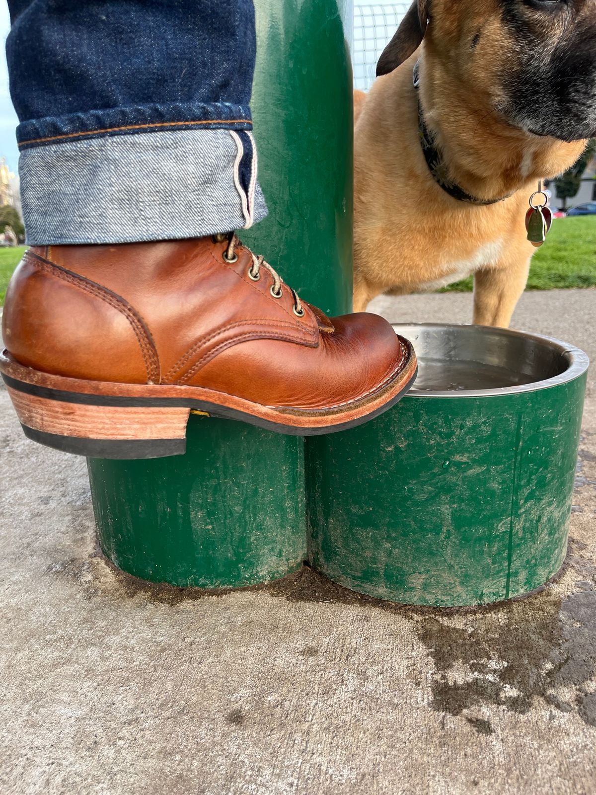 Photo by tomsbarkingdogs on March 8, 2026 of the Frank's Boots Wilshire in Law Tanning Whiskey Rebellion.