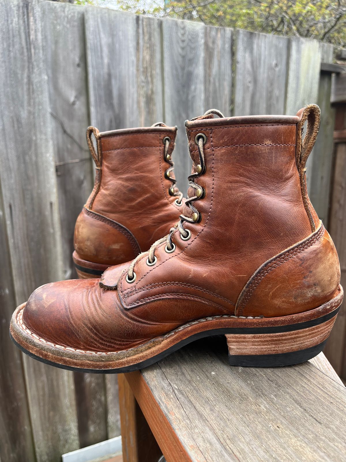 Photo by tomsbarkingdogs on March 30, 2026 of the Frank's Boots Wilshire in Law Tanning Whiskey Rebellion.