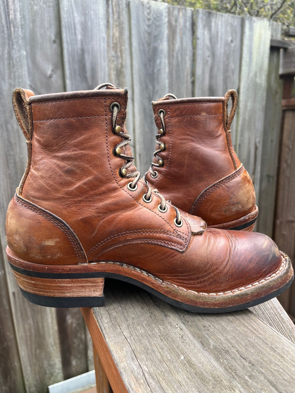 Photo by tomsbarkingdogs on March 30, 2026 of the Frank's Boots Wilshire in Law Tanning Whiskey Rebellion.