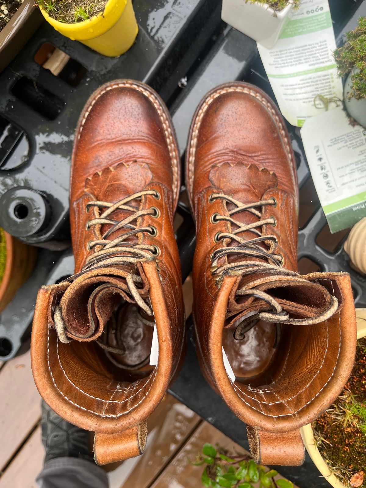 Photo by tomsbarkingdogs on April 1, 2026 of the Frank's Boots Wilshire in Law Tanning Whiskey Rebellion.