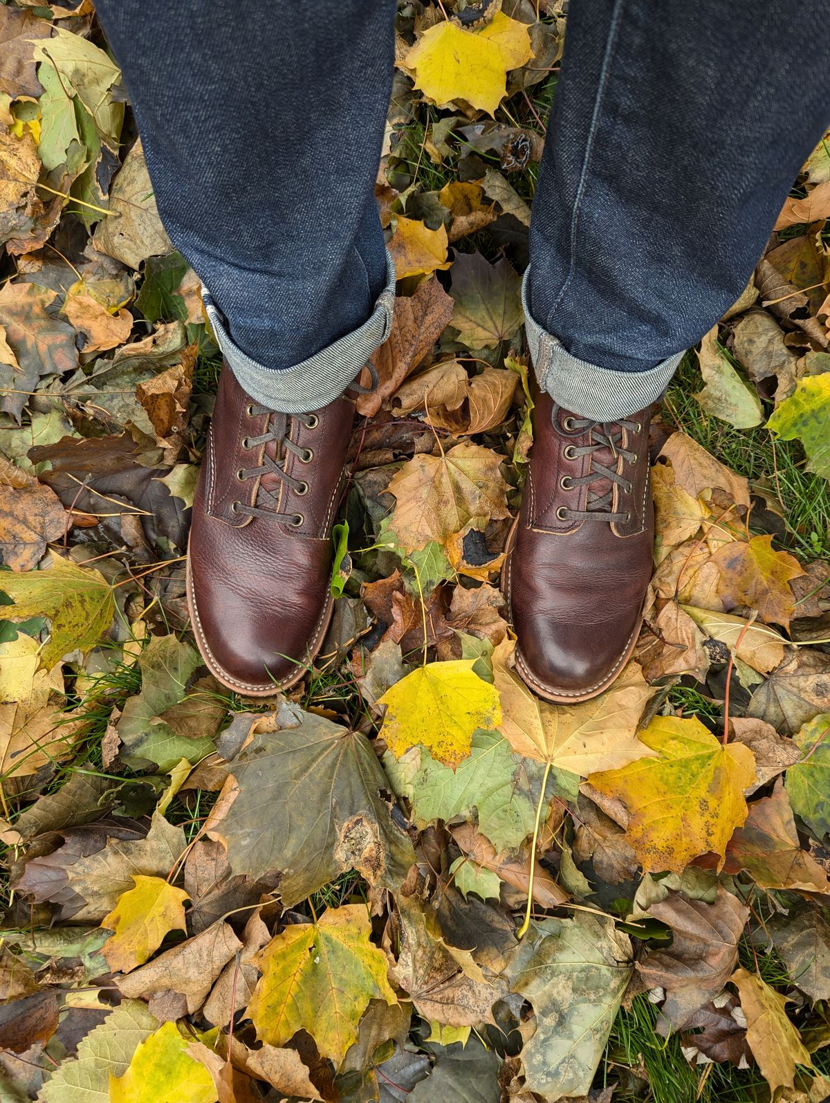 Photo by FunkyColdPatina on November 16, 2024 of the Red Wing Blacksmith in S.B. Foot Briar Oil Slick.