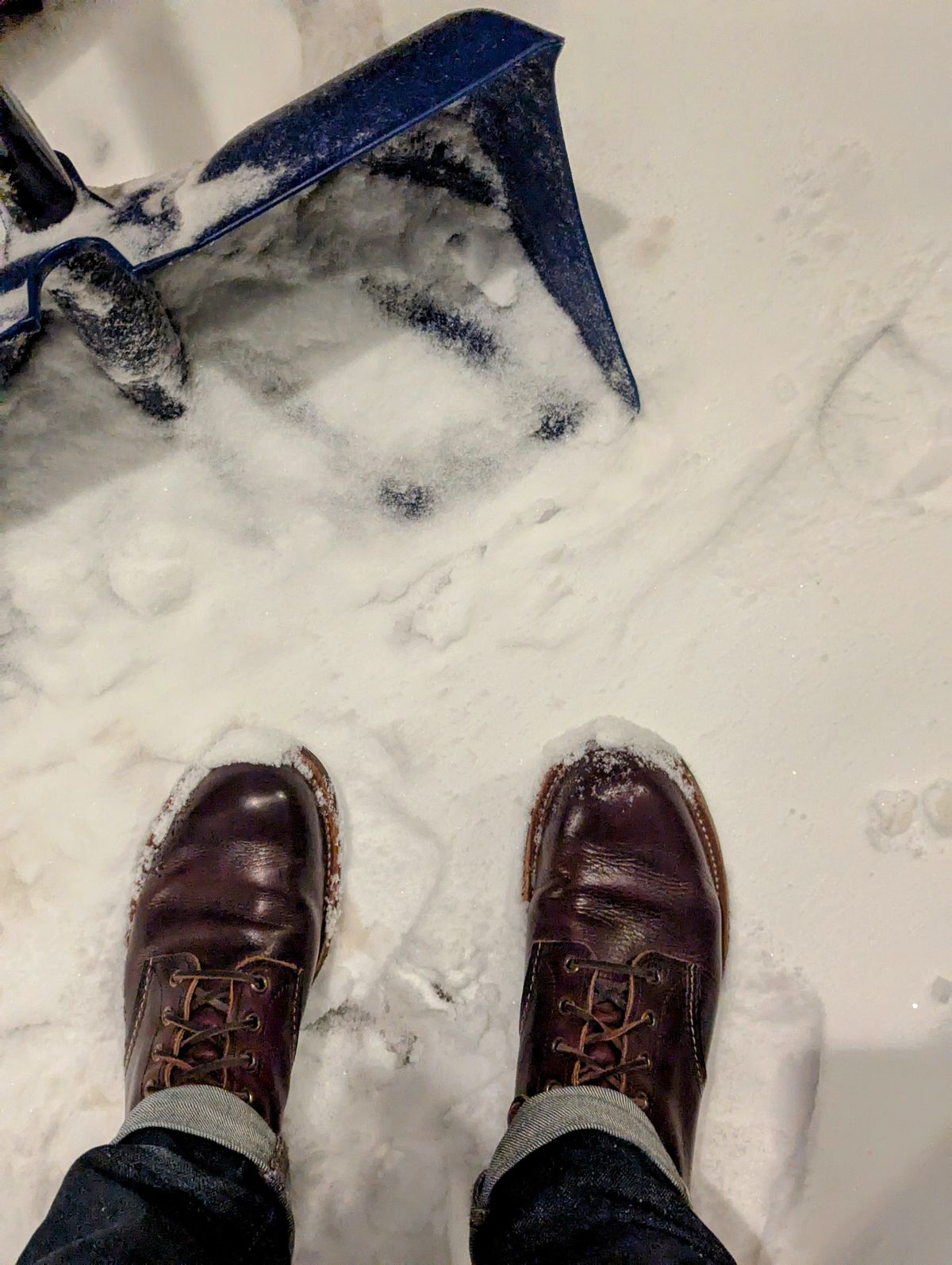Photo by FunkyColdPatina on February 13, 2025 of the Red Wing Blacksmith in S.B. Foot Briar Oil Slick.