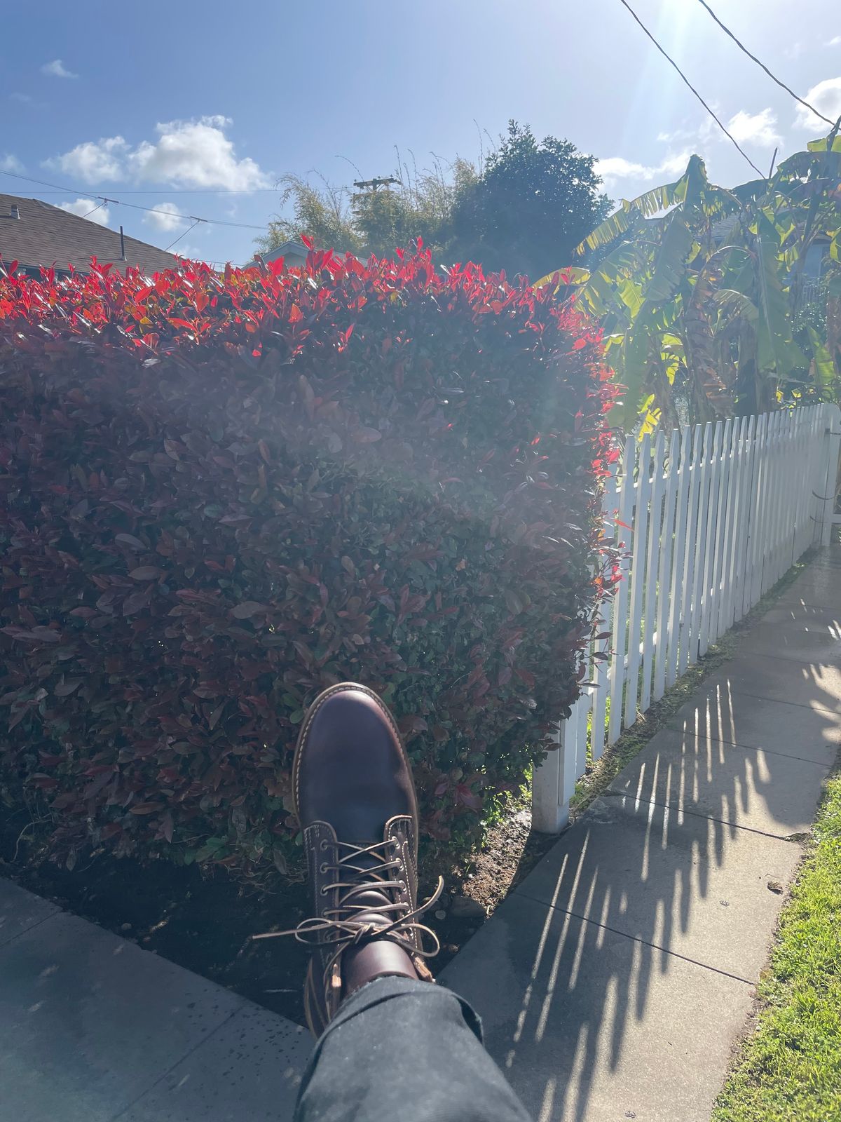Photo by Gabagool on April 3, 2025 of the Truman Plain Toe Boot in Seidel Oxblood Double Shot.