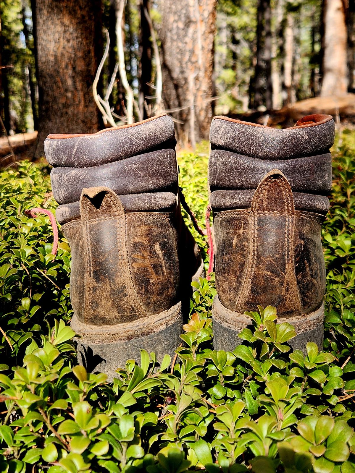 Photo by spyder550 on November 3, 2025 of the Valli Shoes Anfibio Model 075 in Italian Greased Cowhide.