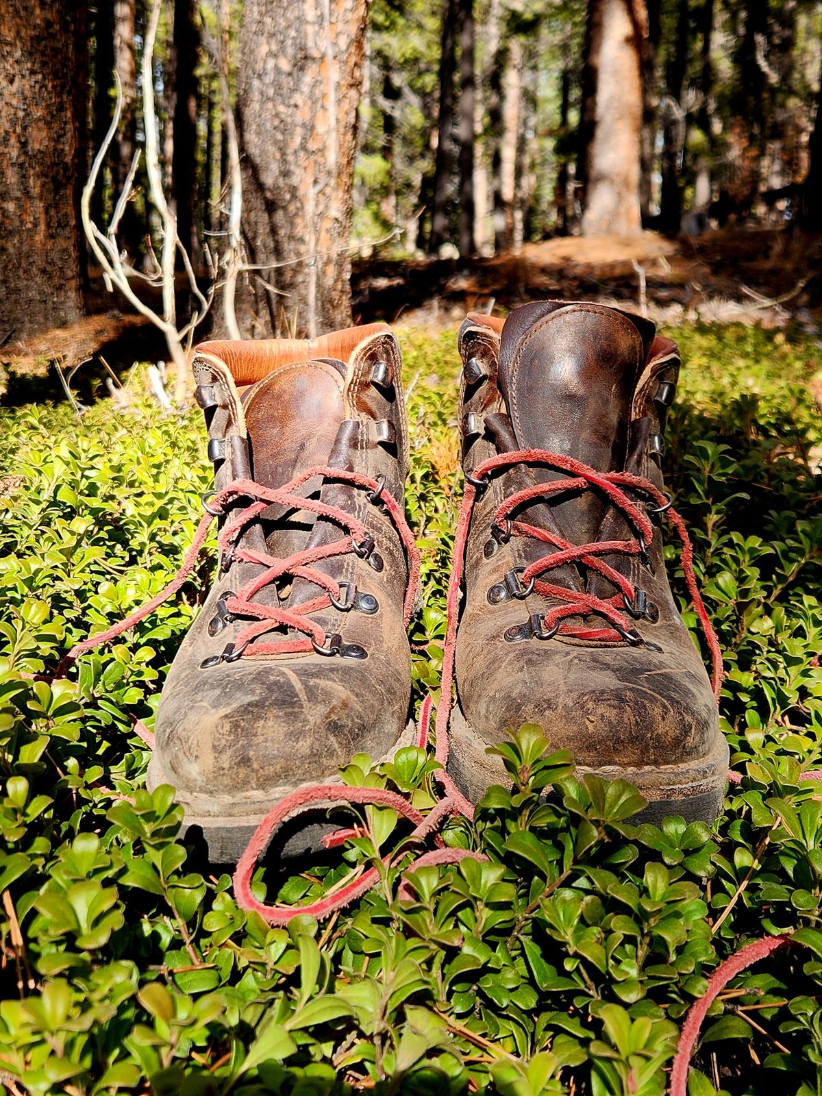Photo by spyder550 on November 3, 2025 of the Valli Shoes Anfibio Model 075 in Italian Greased Cowhide.