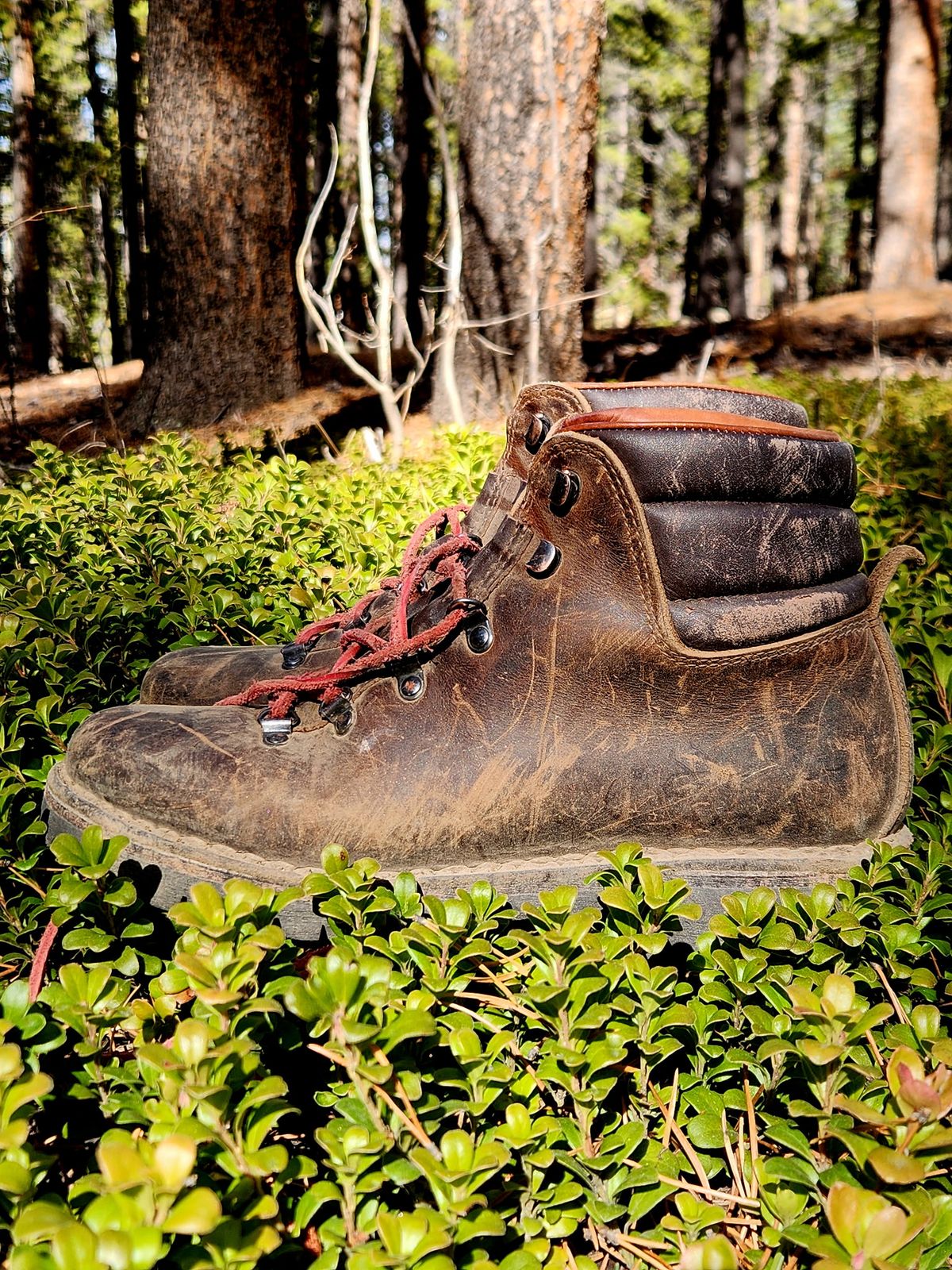 Photo by spyder550 on November 3, 2025 of the Valli Shoes Anfibio Model 075 in Italian Greased Cowhide.