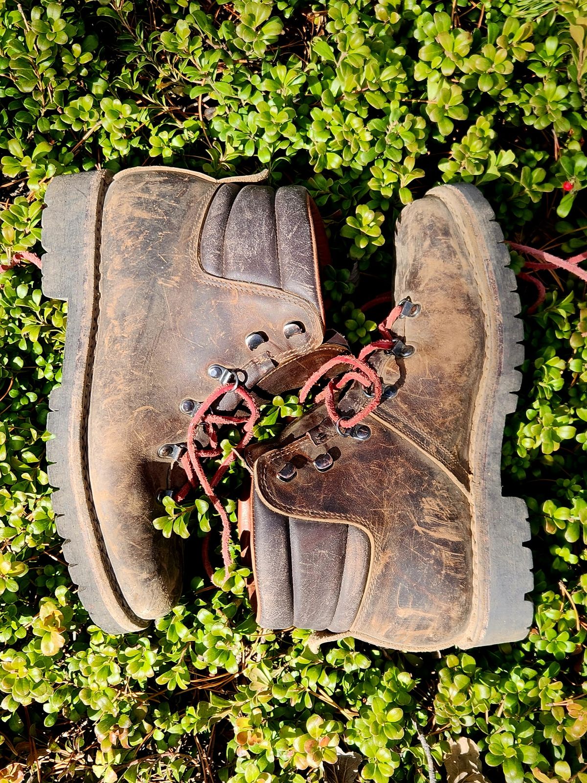 Photo by spyder550 on November 3, 2025 of the Valli Shoes Anfibio Model 075 in Italian Greased Cowhide.