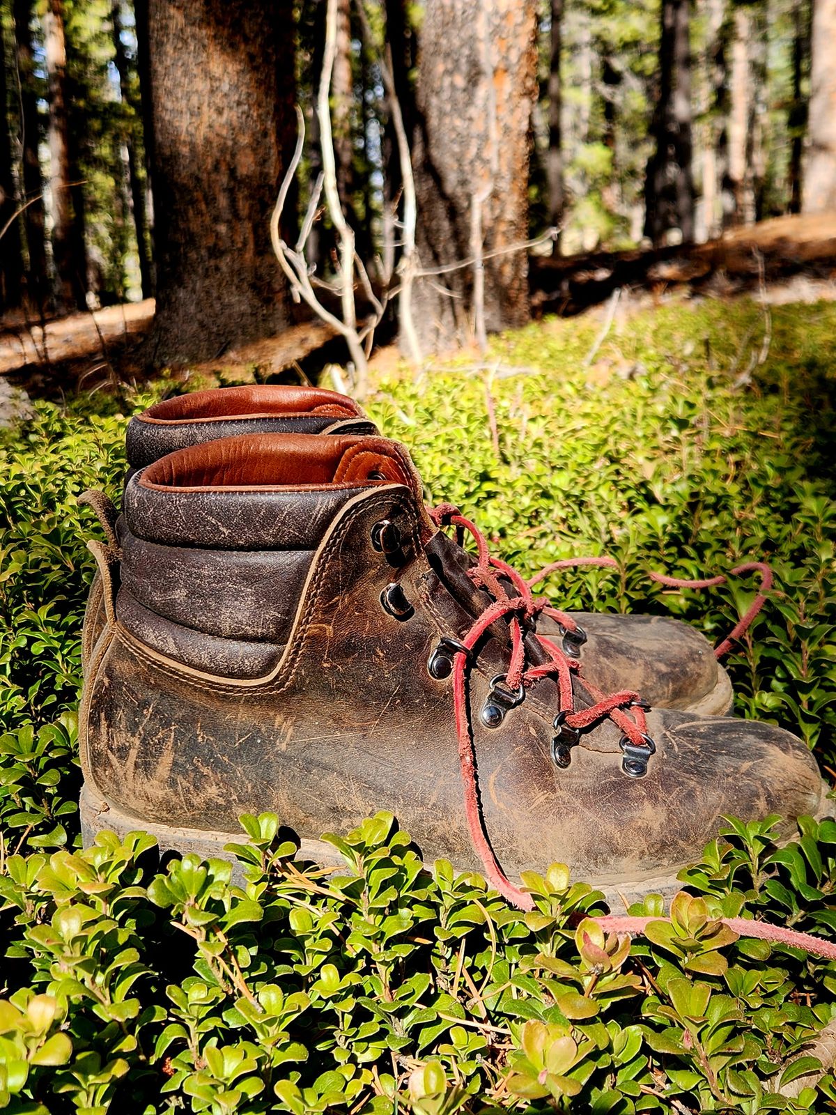 Photo by spyder550 on November 3, 2025 of the Valli Shoes Anfibio Model 075 in Italian Greased Cowhide.