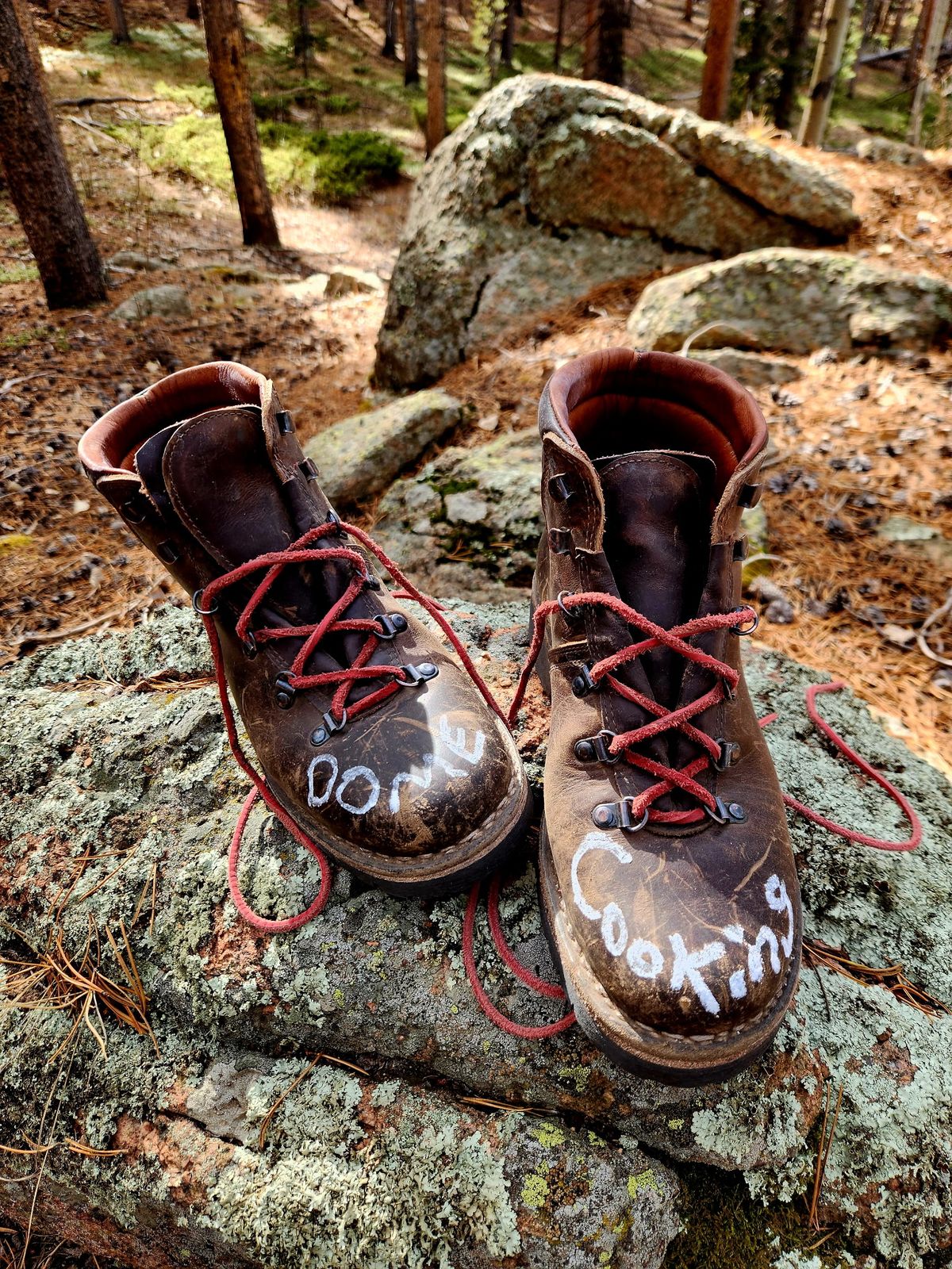 Photo by spyder550 on November 3, 2025 of the Valli Shoes Anfibio Model 075 in Italian Greased Cowhide.