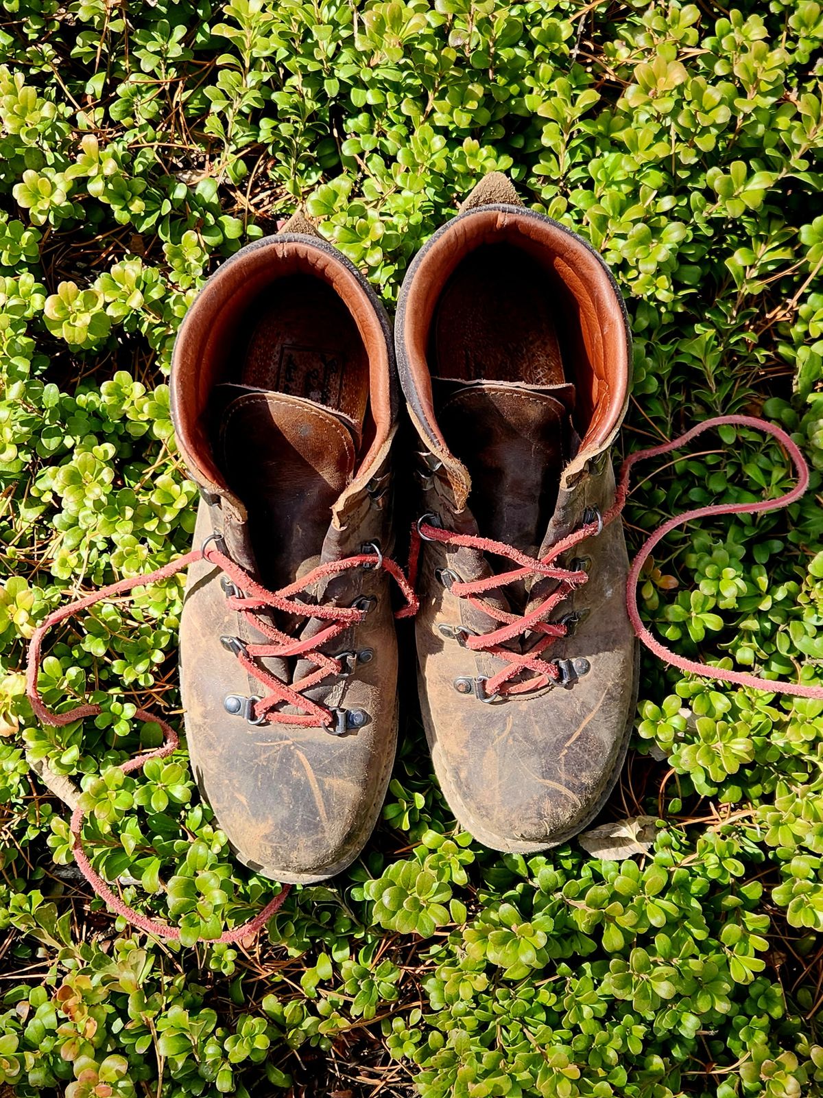 Photo by spyder550 on November 3, 2025 of the Valli Shoes Anfibio Model 075 in Italian Greased Cowhide.