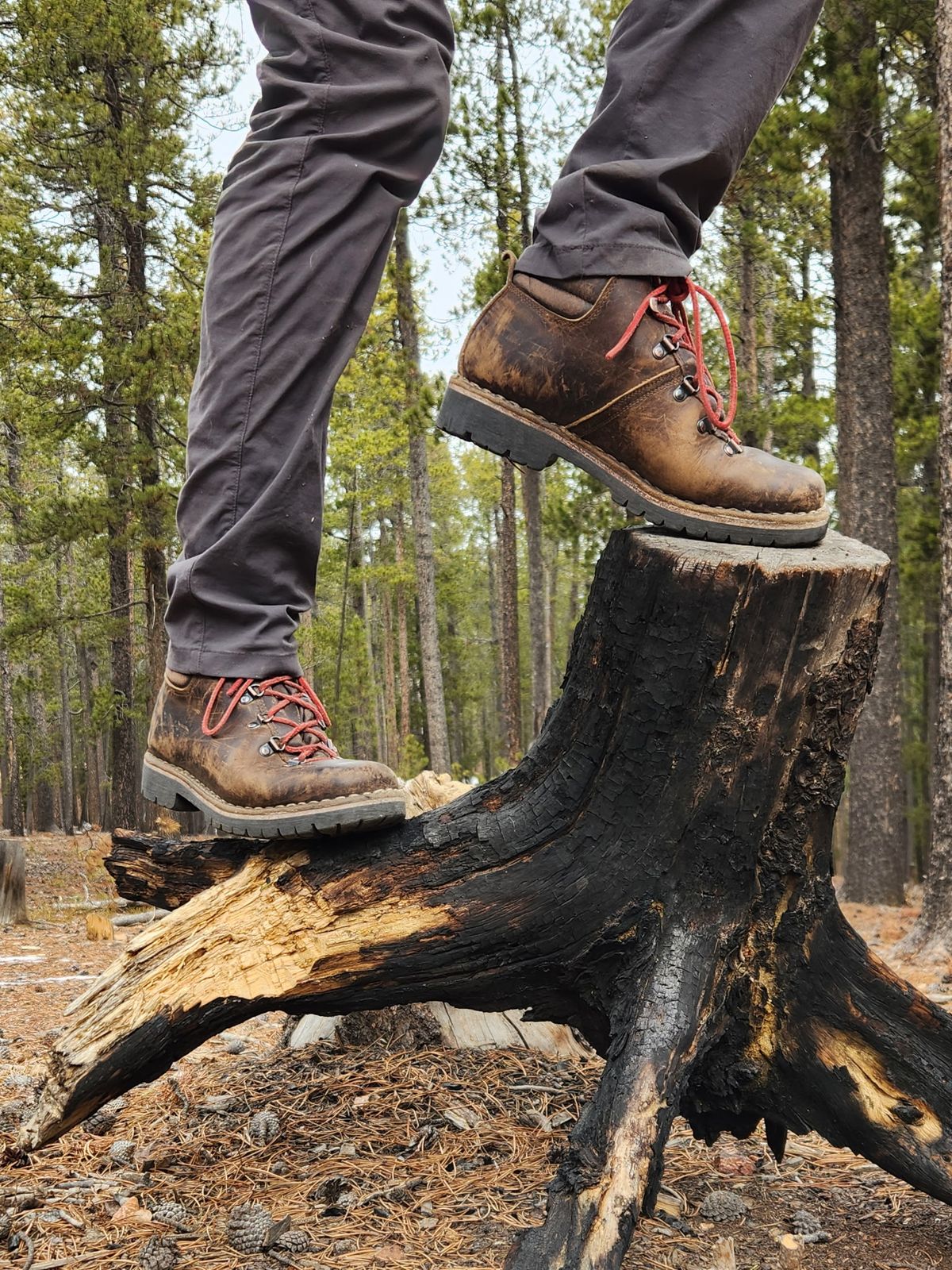 Photo by spyder550 on January 4, 2026 of the Valli Shoes Anfibio Model 075 in Italian Greased Cowhide.